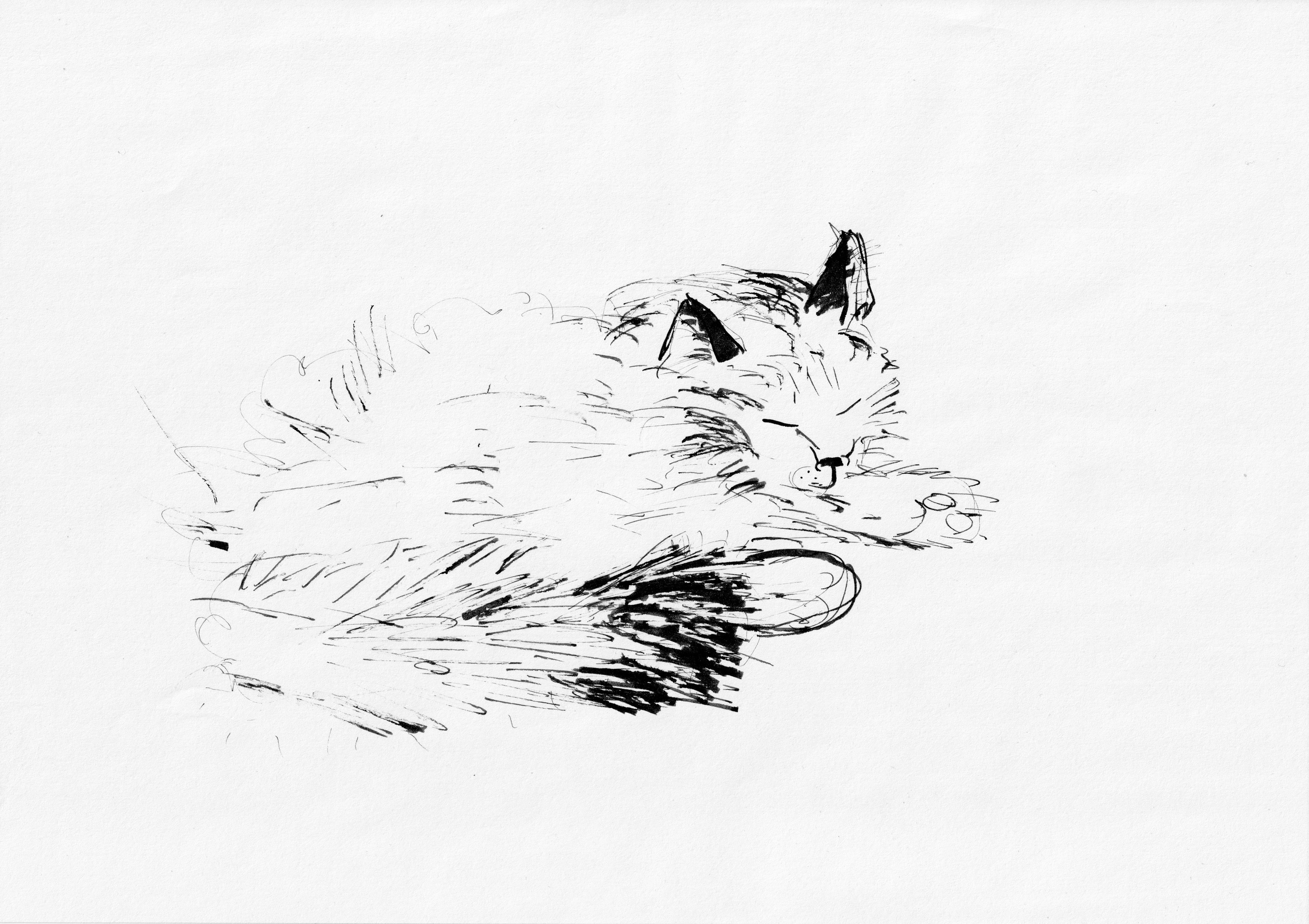 Скетчи. Ожерельев Лев