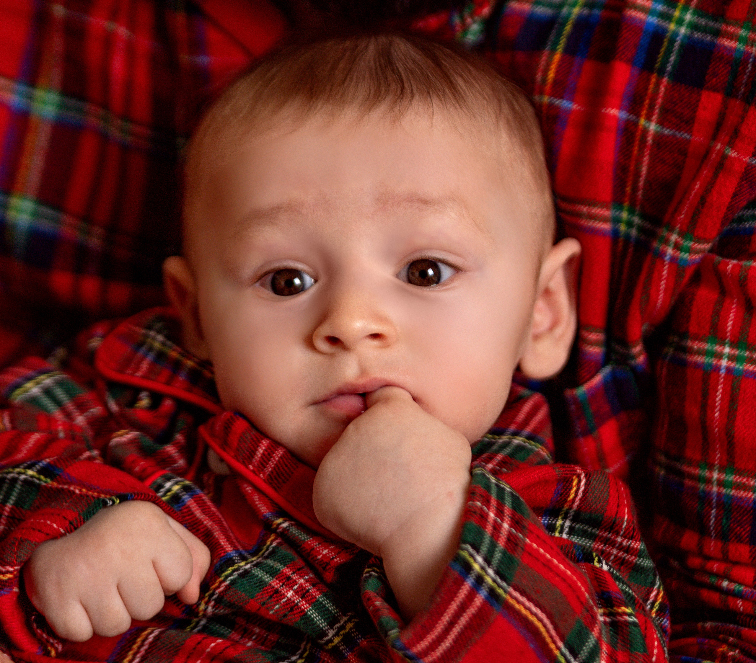 Новогодняя фотосессия. Семейный, свадебный и детский фотограф в Новосибирске Ольга Хидченко