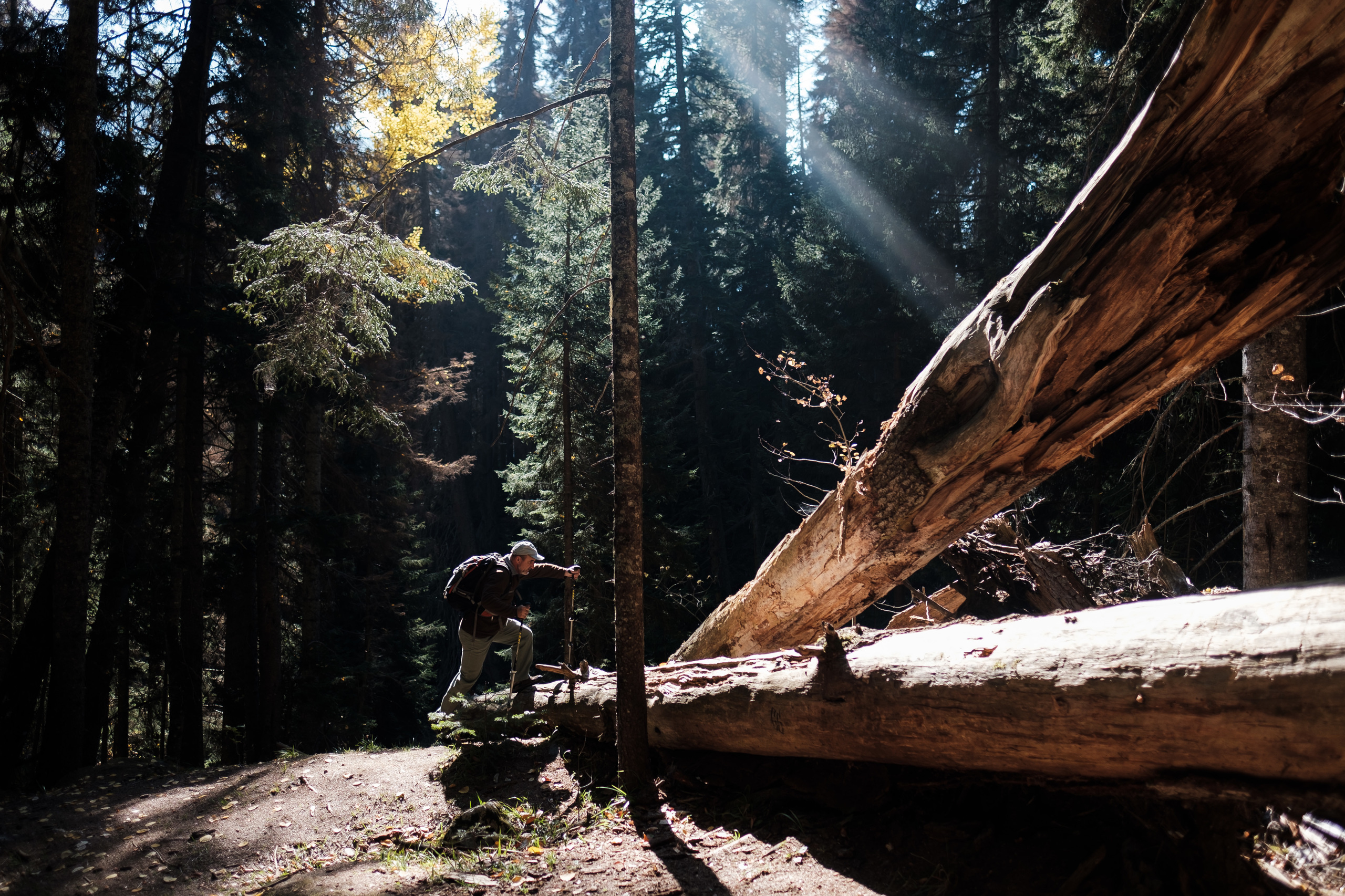 Теберда. Семейный фотограф в Анапе Валерий Скурыдин