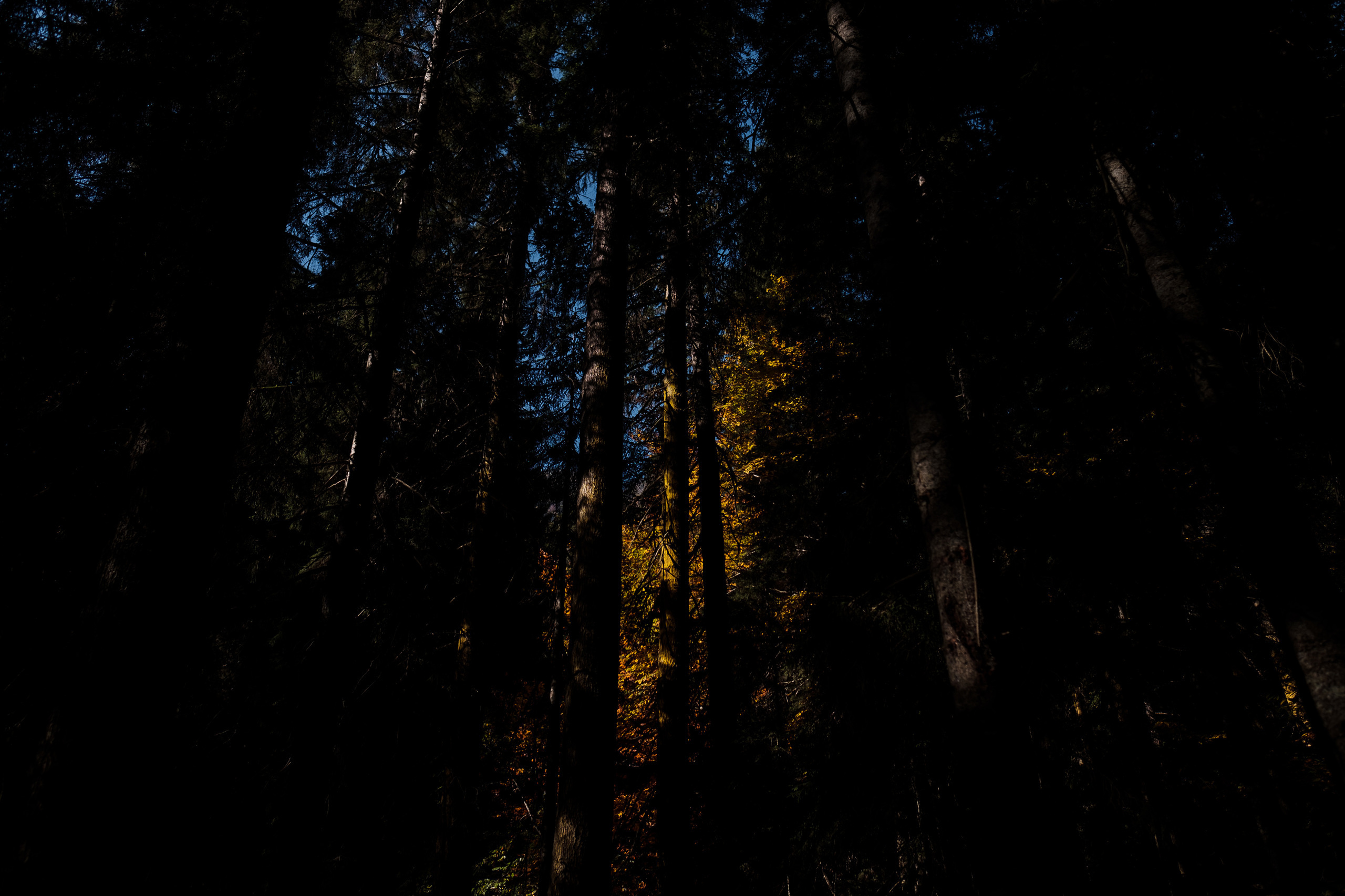 Теберда. Семейный фотограф в Анапе Валерий Скурыдин