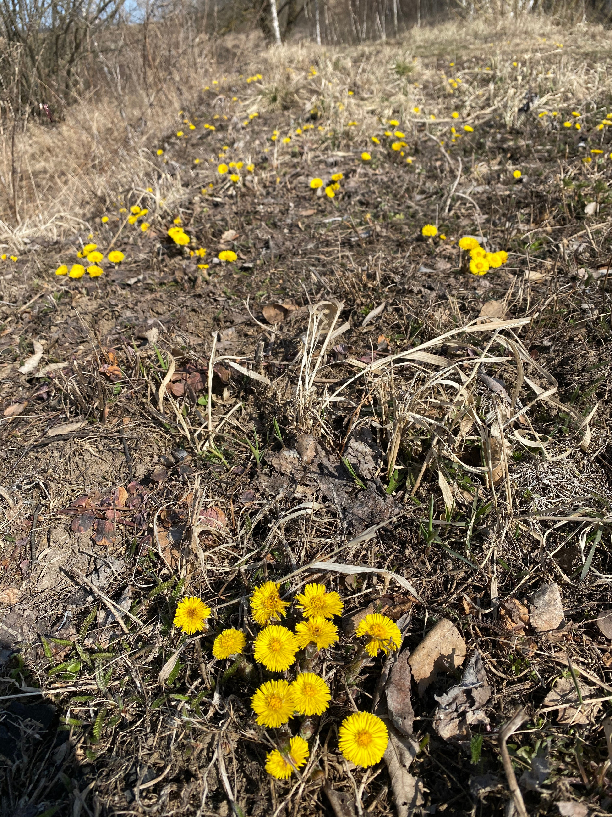Осетрово — 20. Своя Мастерская