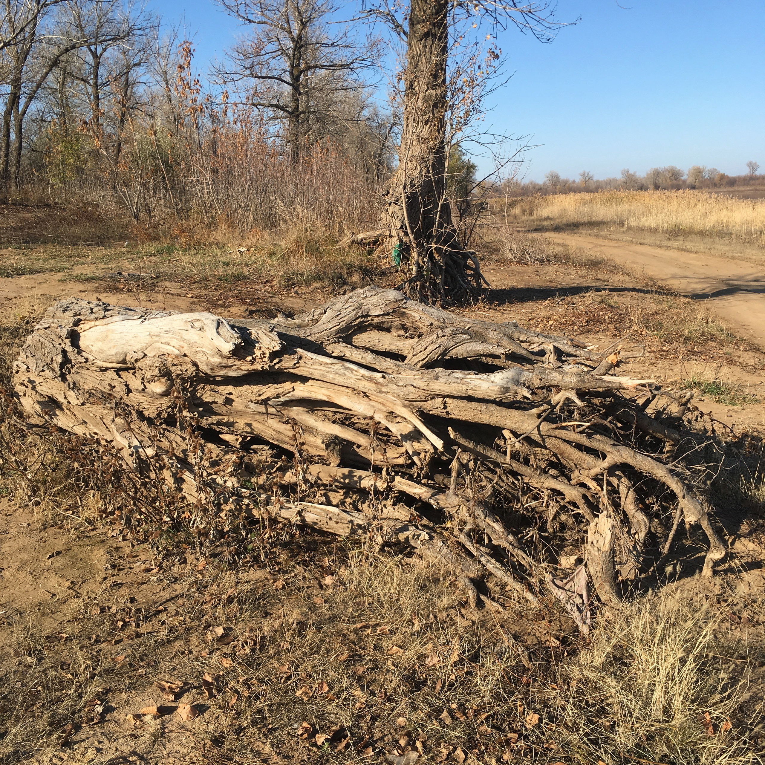 Астрахань-19. Своя Мастерская