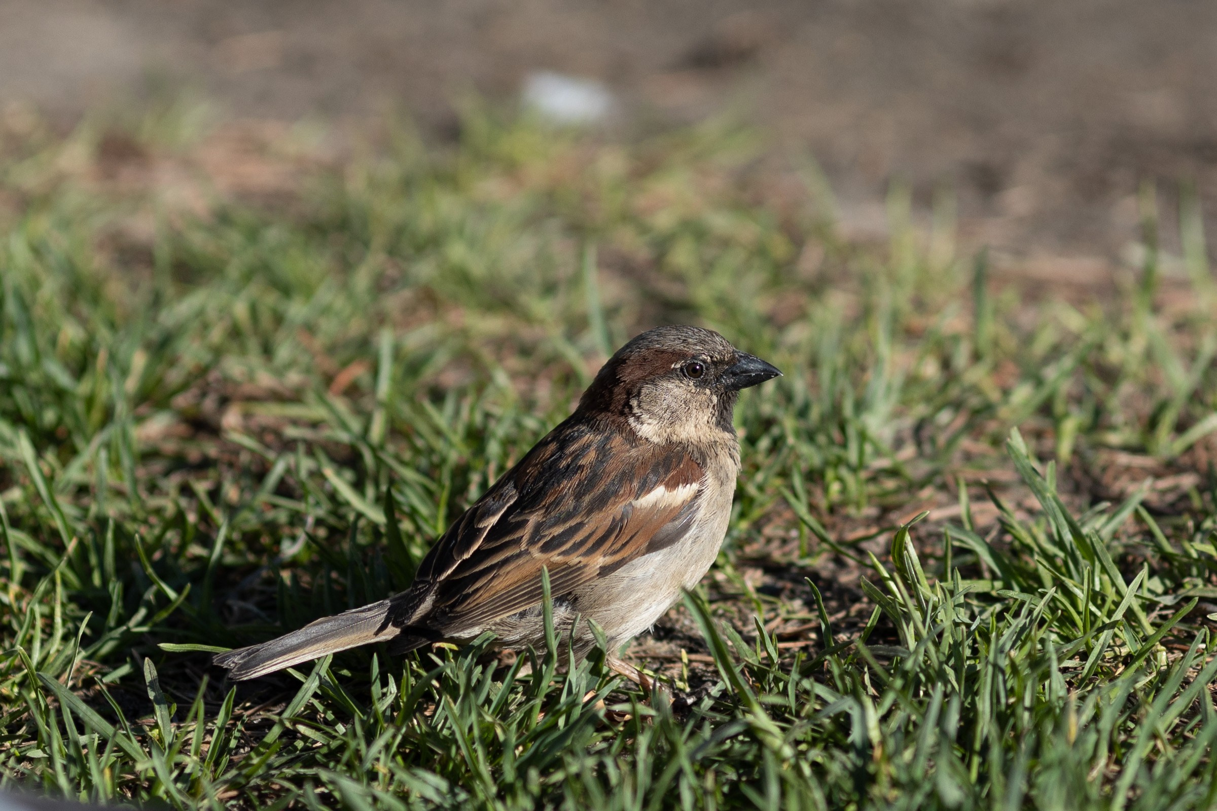 Природные пейзажи. Наталия Клевинскас портретный фотограф в Костроме
