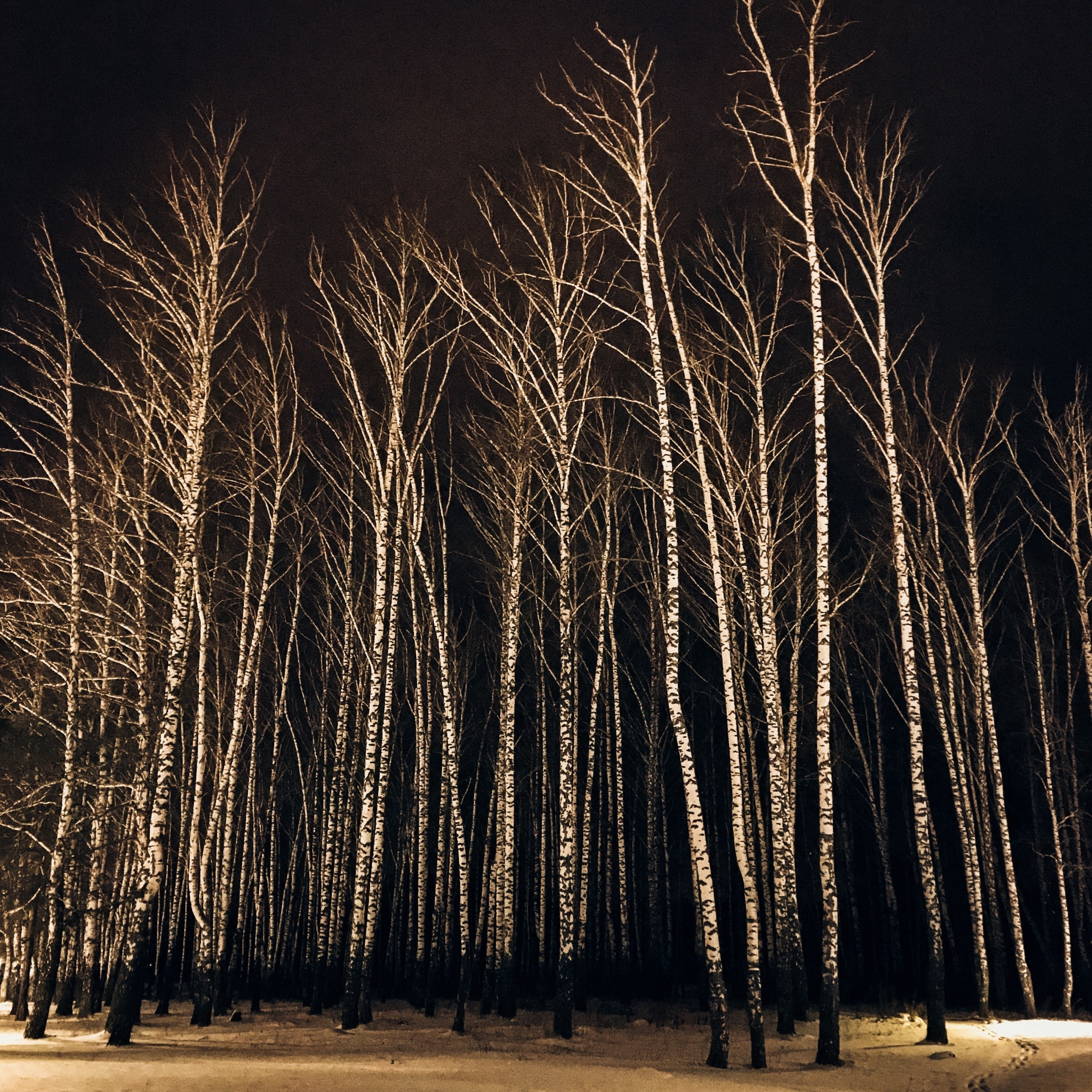 Пейзажи. Свадебный и портретный фотограф в Новом Уренгое Андрей Нелескин