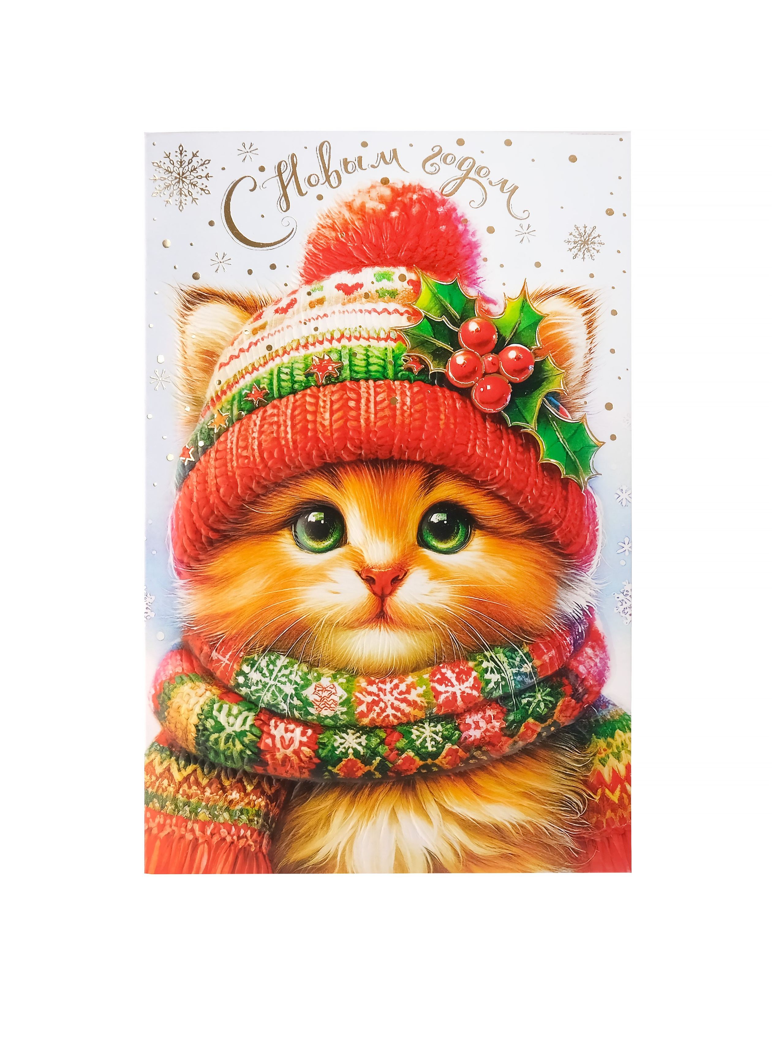 Открытка Кот в шапке