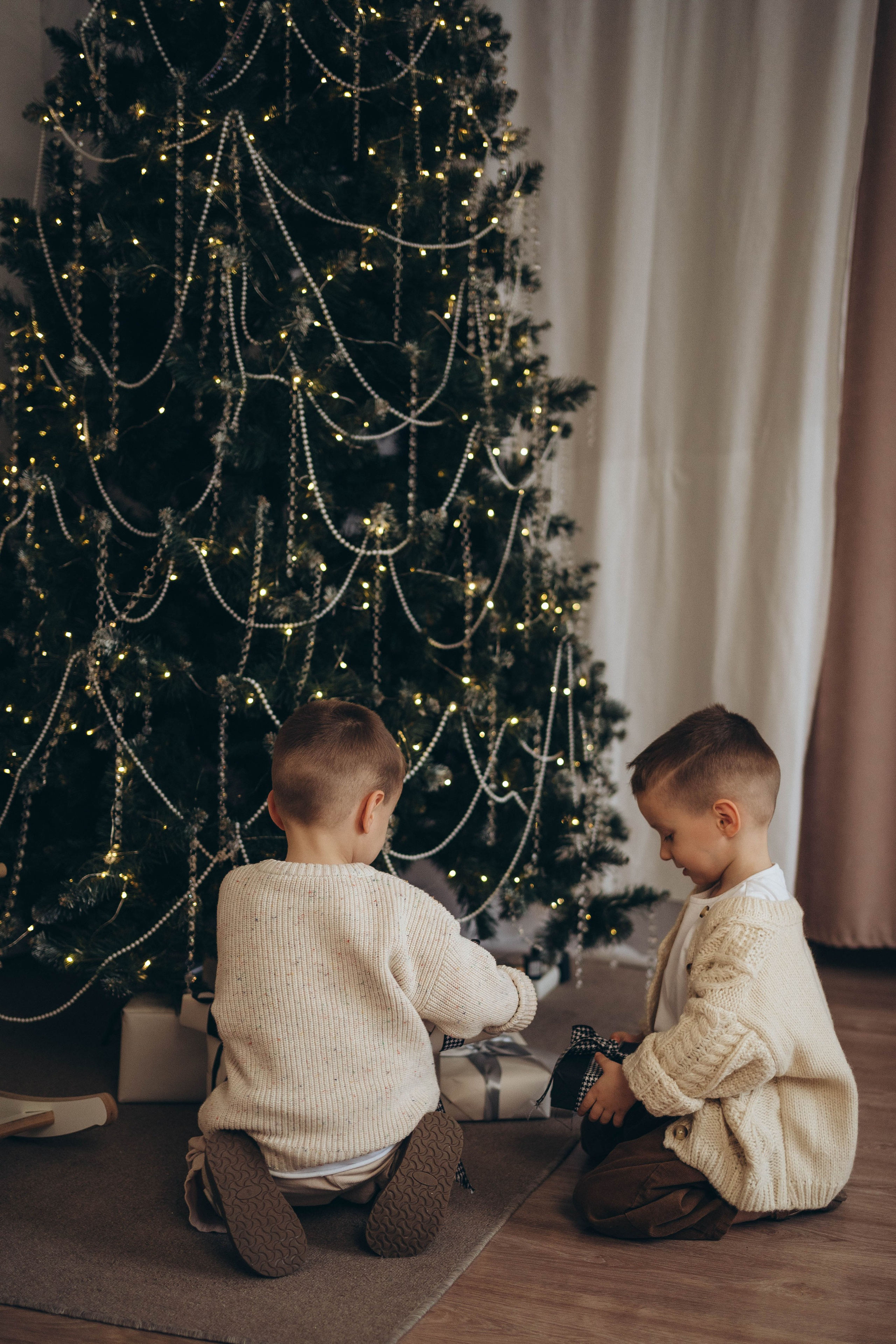 Мирон и Демид