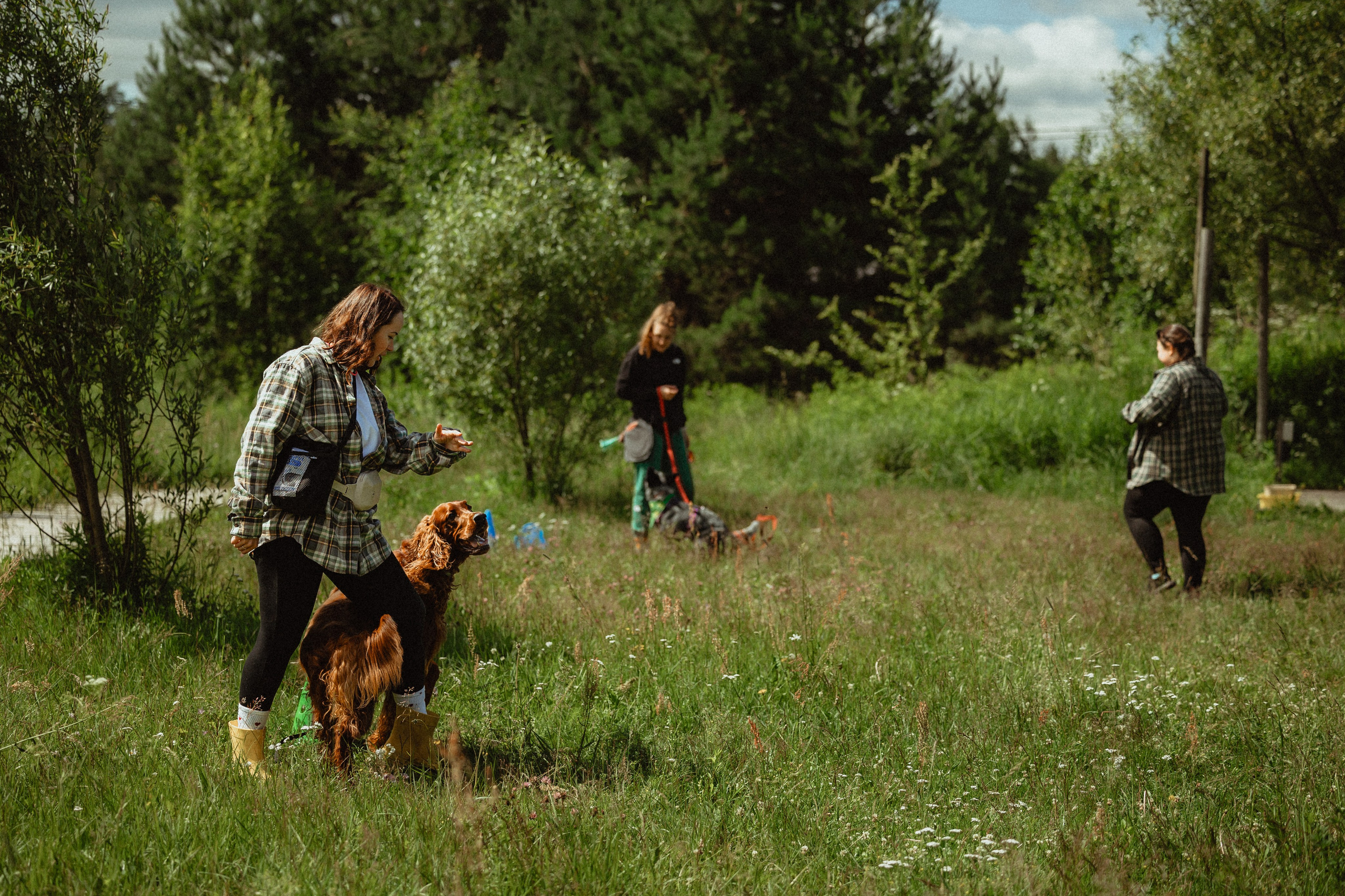Выездной дог-тренинг от школы «Шерсть имею»