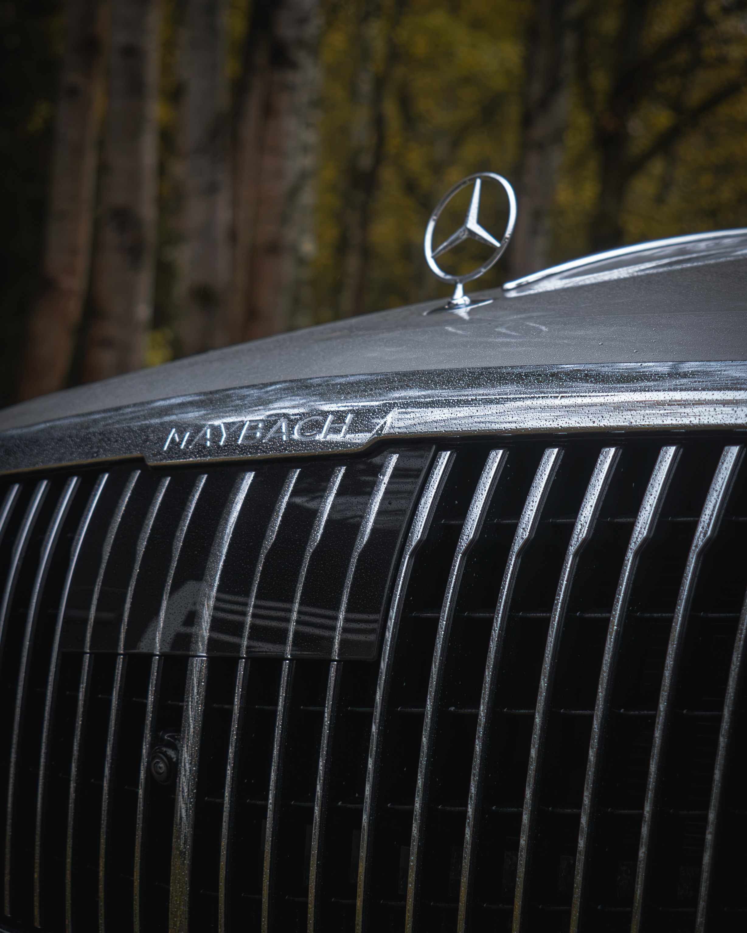 Maybach. Автомобильный фотограф в Москве