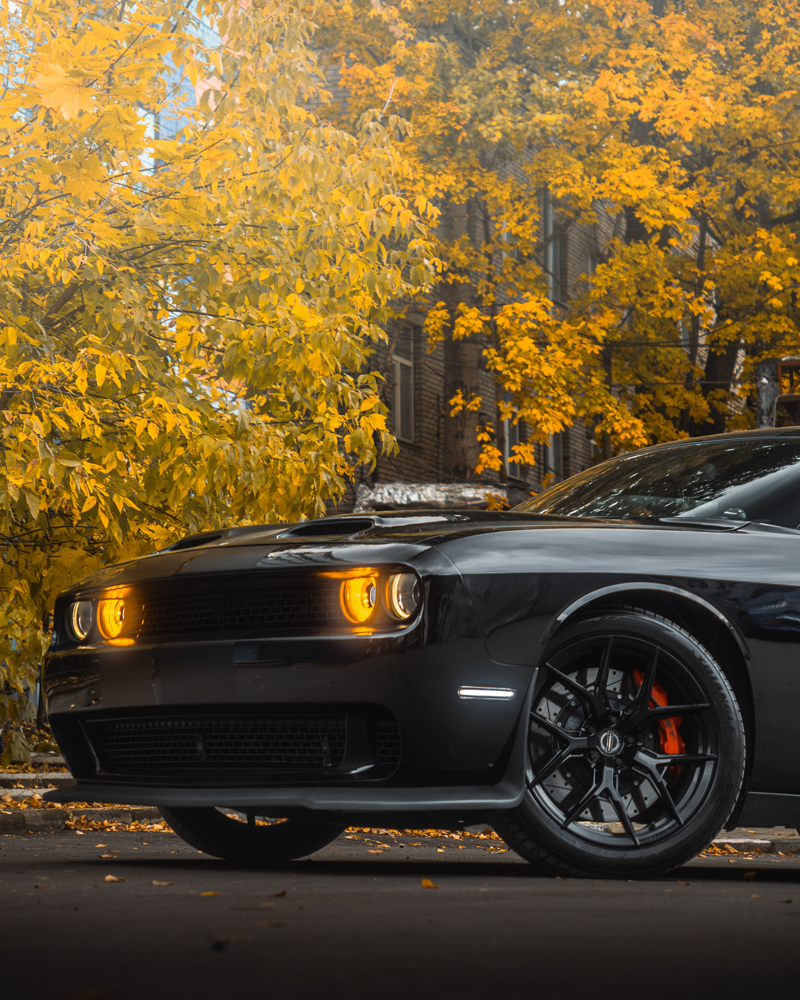 DODGE CHALLENGER. Автомобильный фотограф в Москве