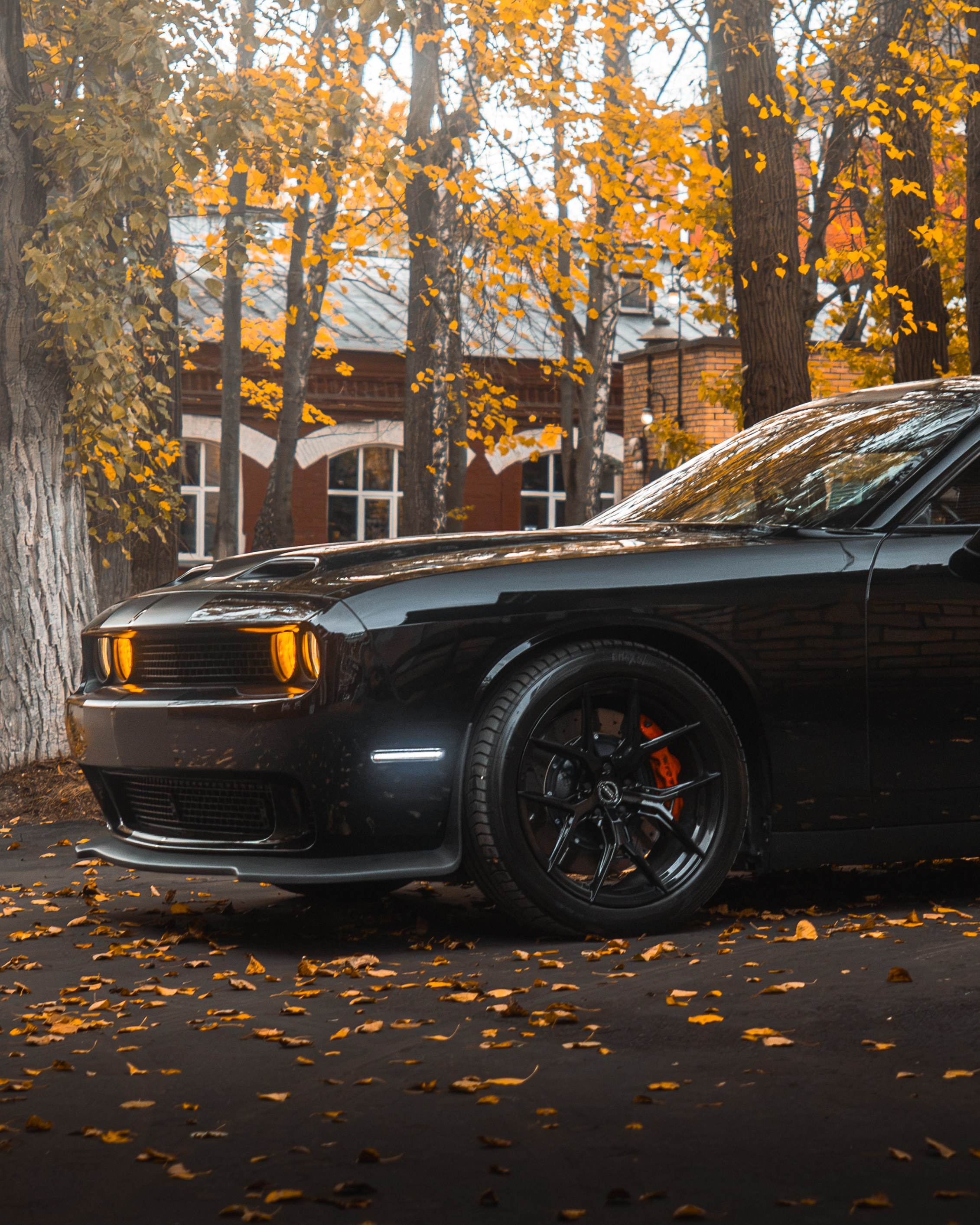 DODGE CHALLENGER. Автомобильный фотограф в Москве