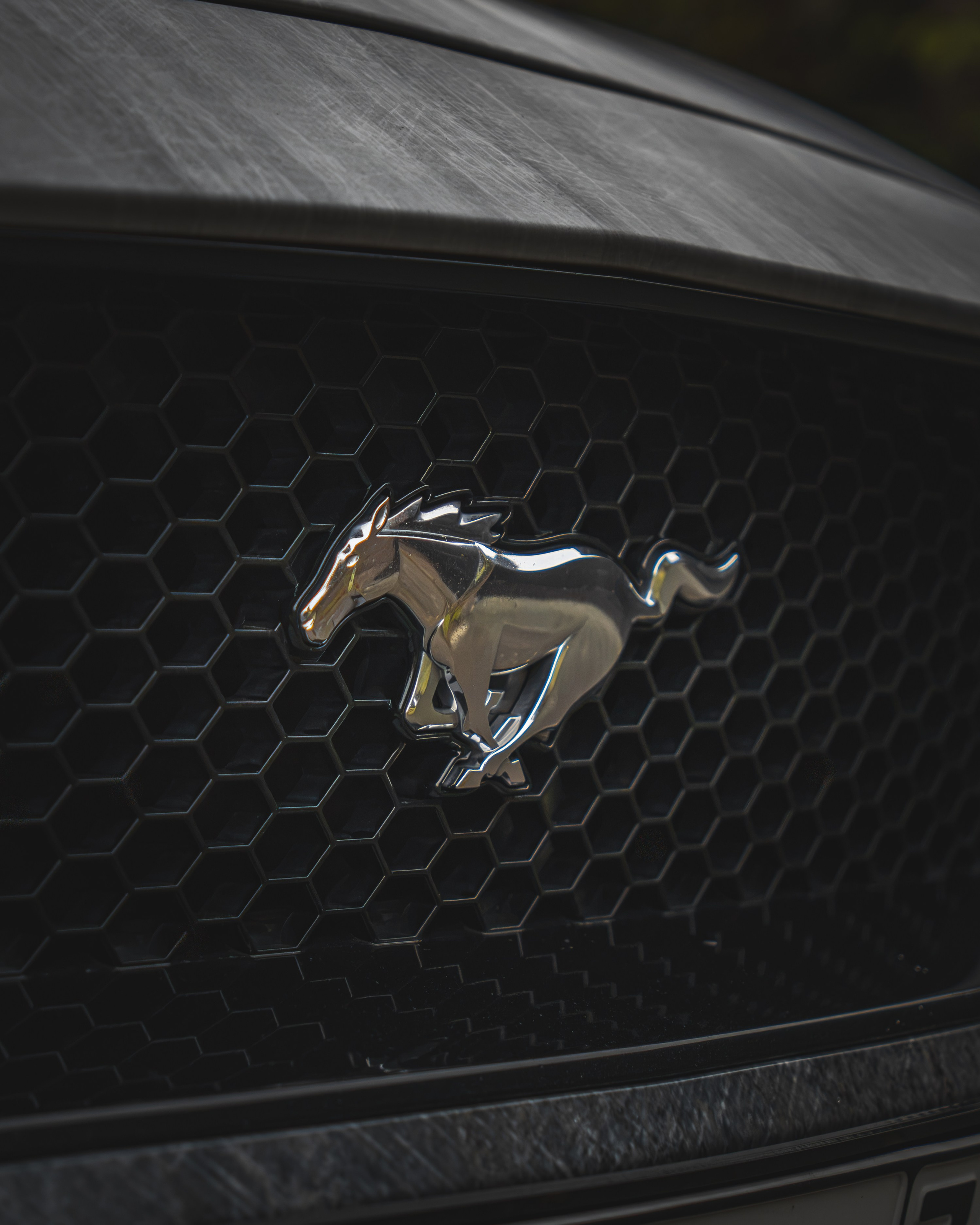 MUSTANGRUS. Автомобильный фотограф в Москве