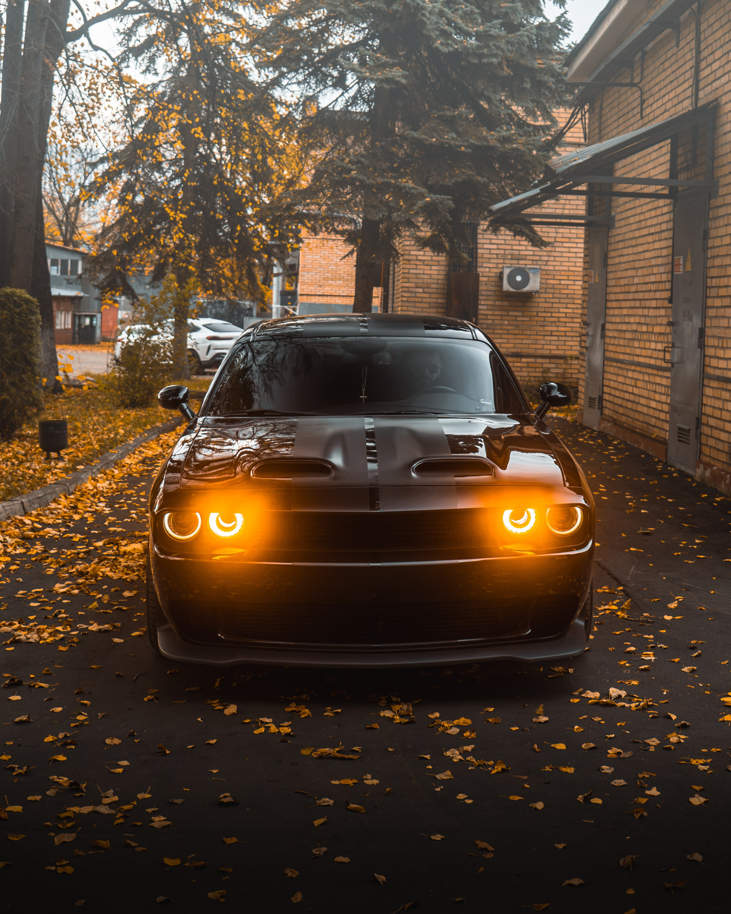 DODGE CHALLENGER. Автомобильный фотограф в Москве