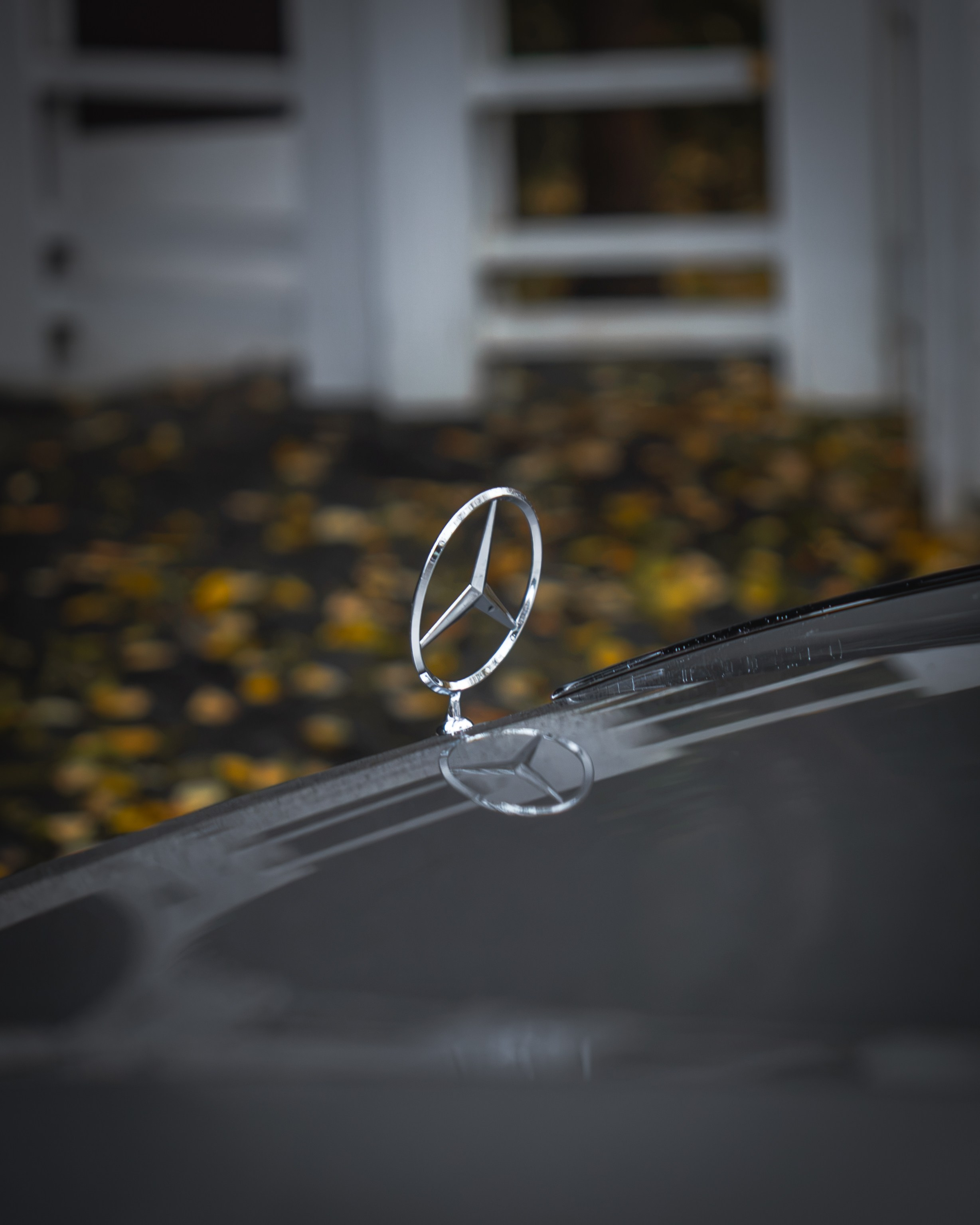 Maybach. Автомобильный фотограф в Москве