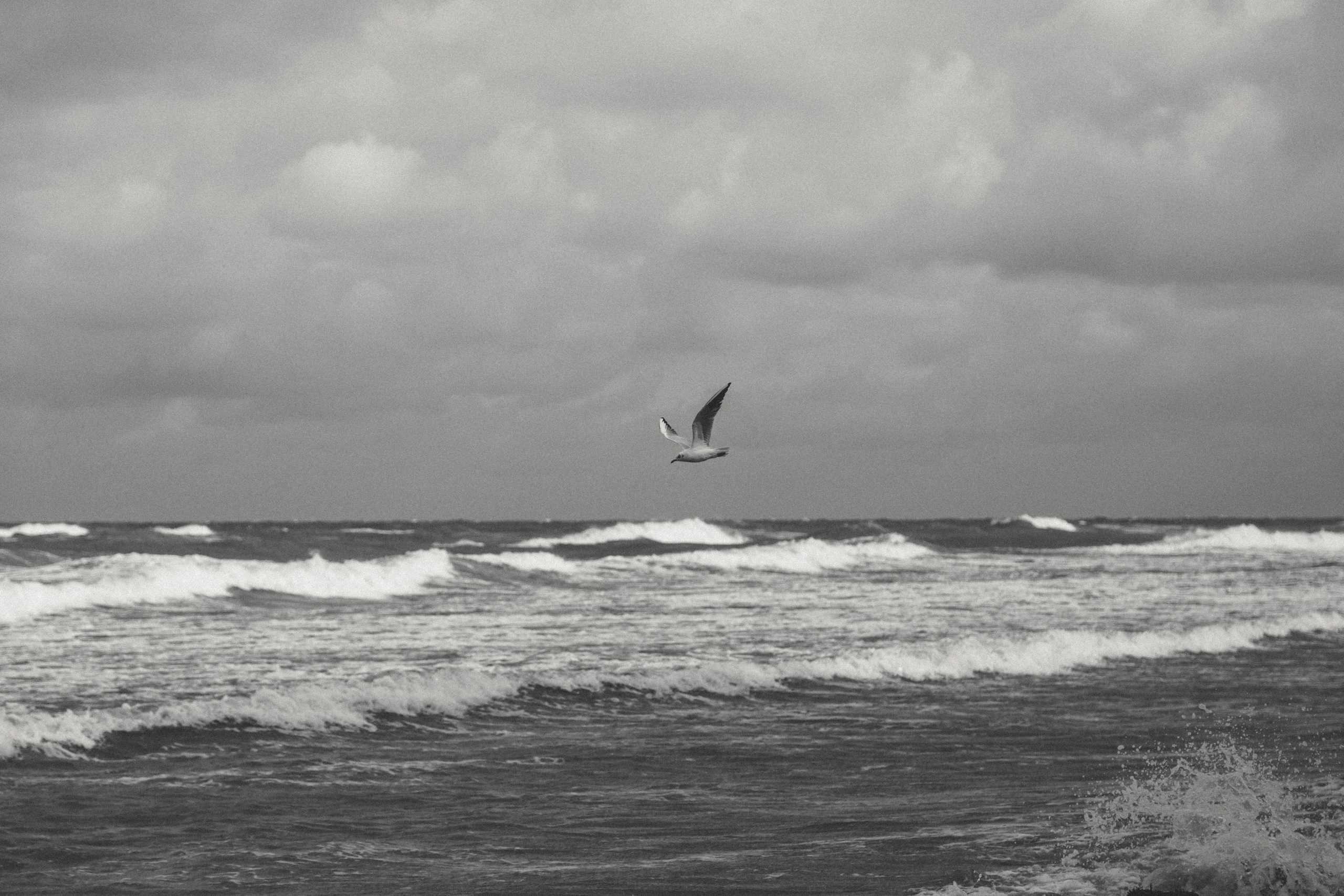 Фотограф Калининград Илья Миллер