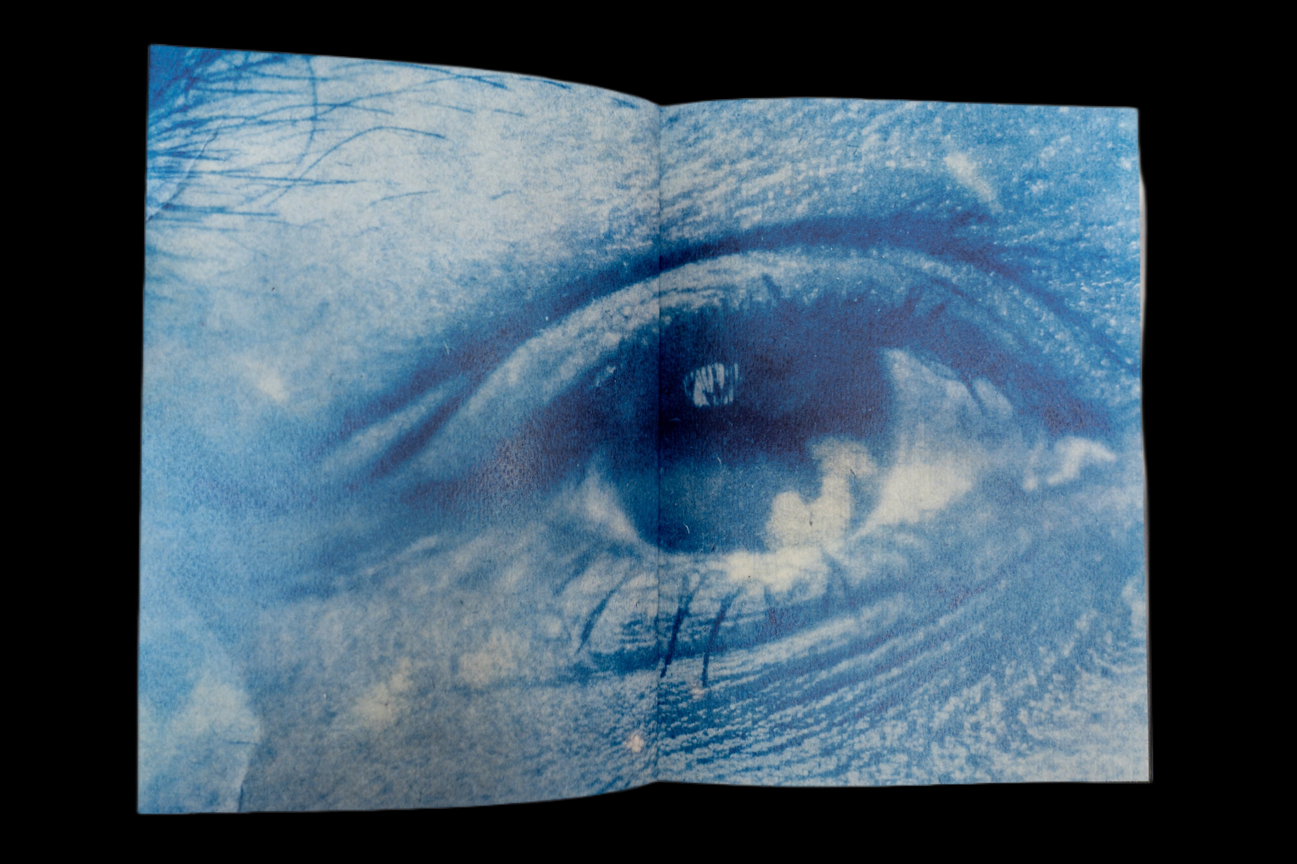 Затмение. Катерина Эделева