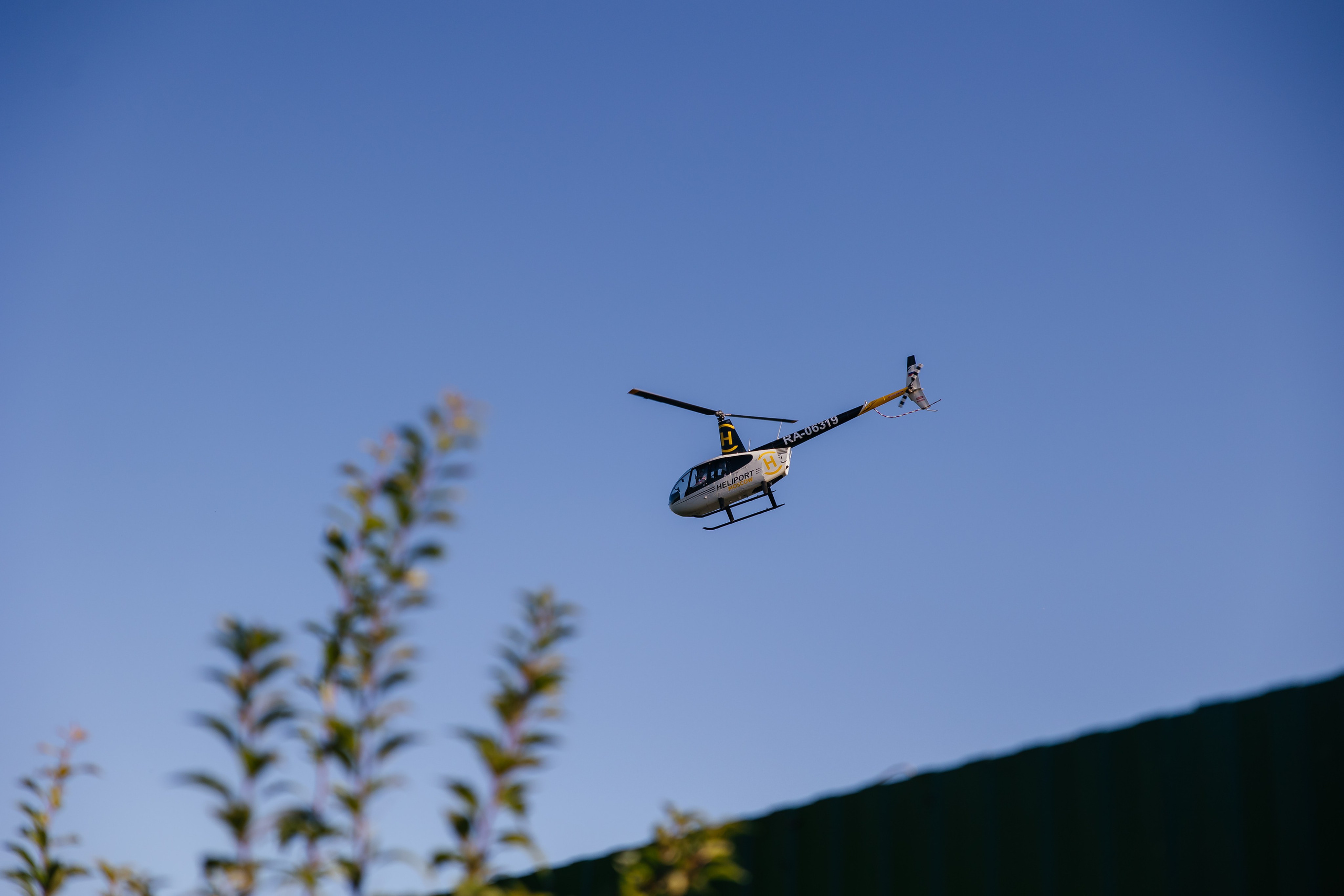 Emilie 7 лет. Свадебный и семейный фотограф