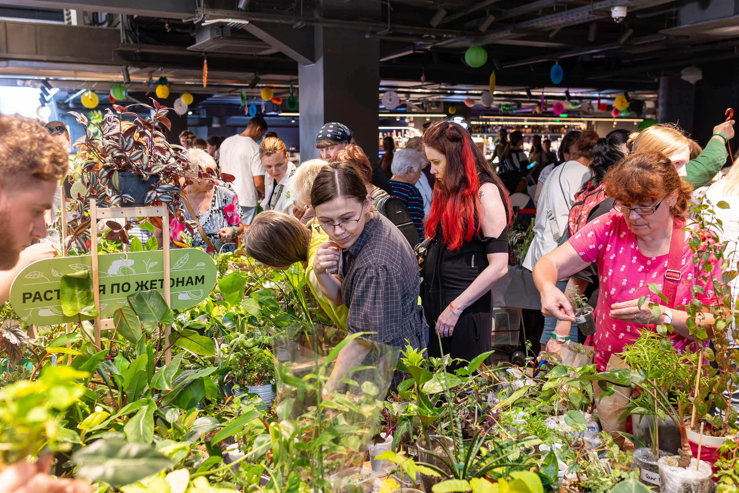 Growbox 5лет. Александра Куликова фотограф, Москва