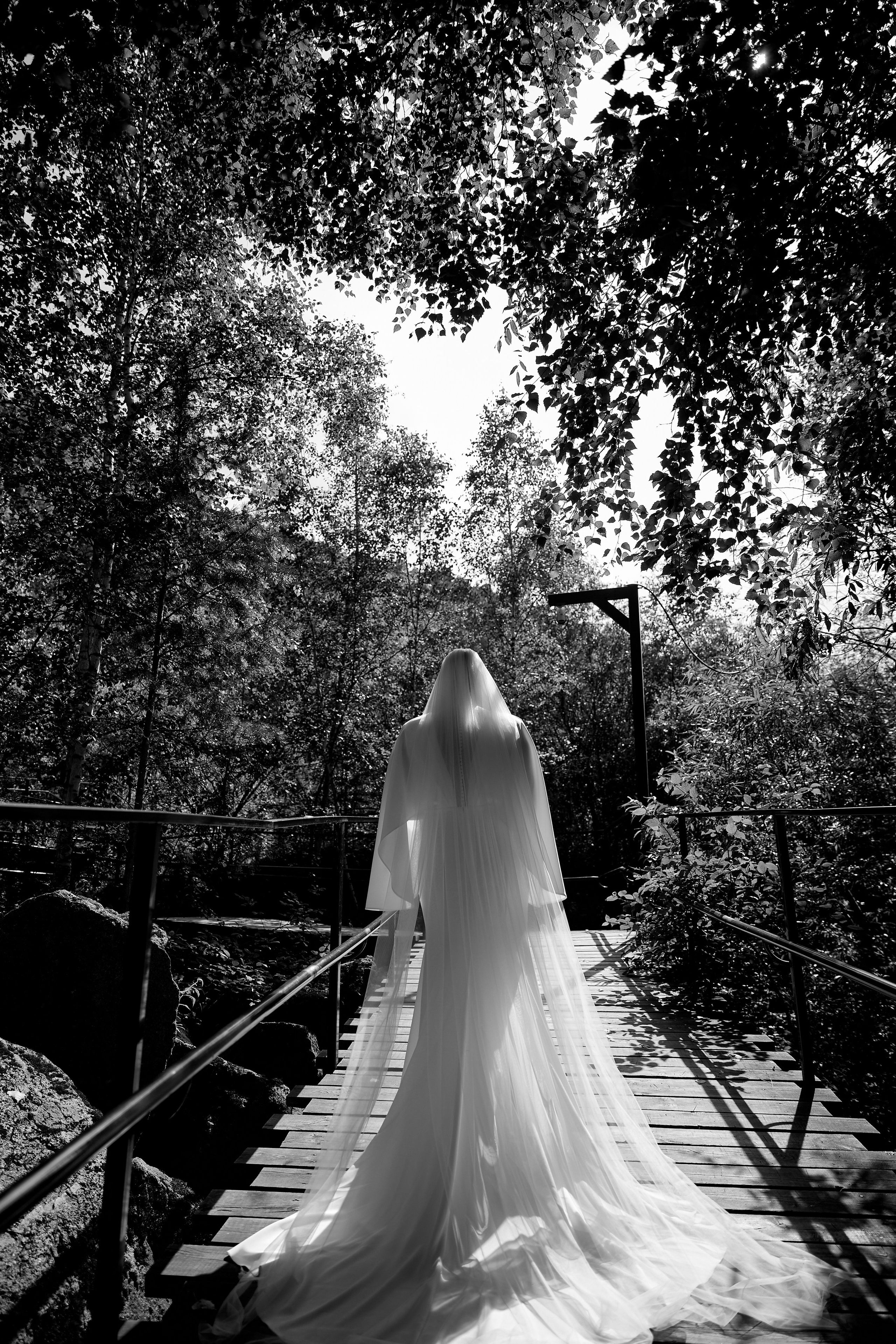 Наш День. Свадебный фотограф в Красноярске Владимир Ятмасов