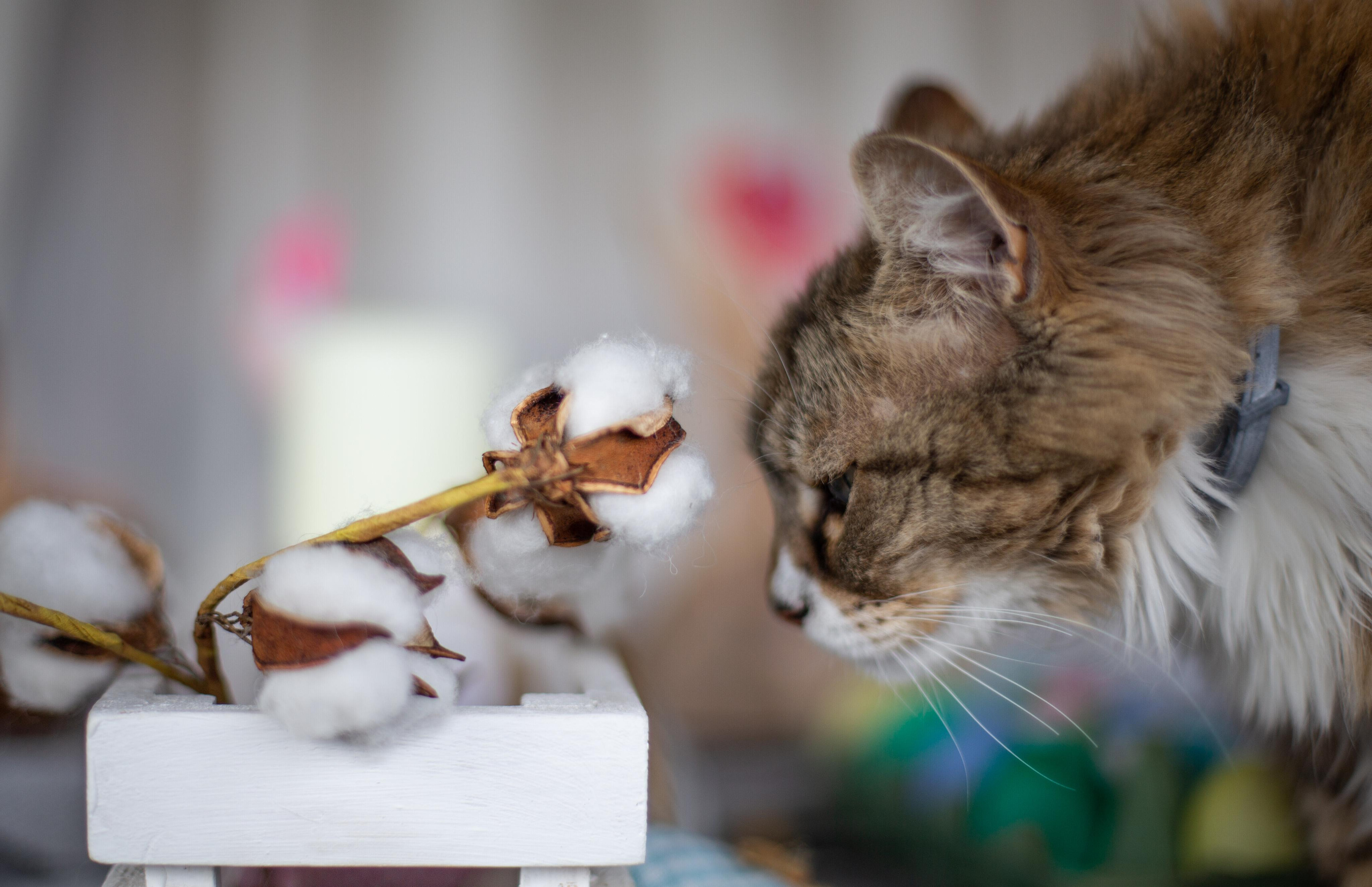 Отзывы. Профессиональный фотограф В Коломне Люси Львова