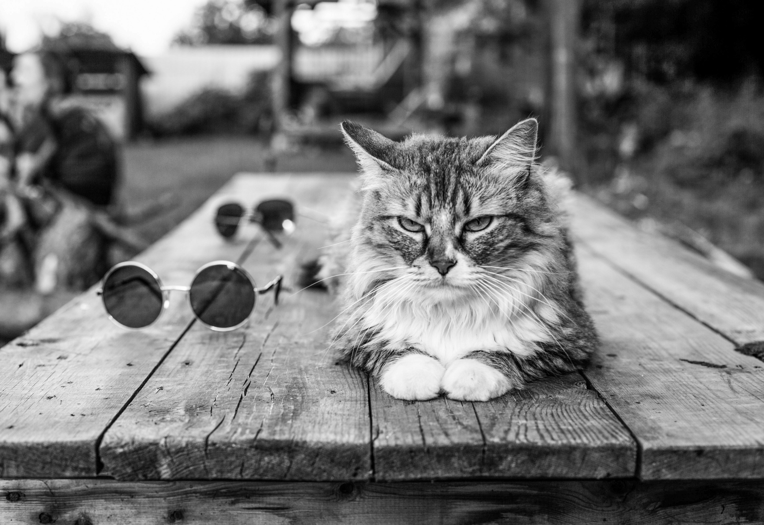 ЧБ. Профессиональный фотограф В Коломне Люси Львова