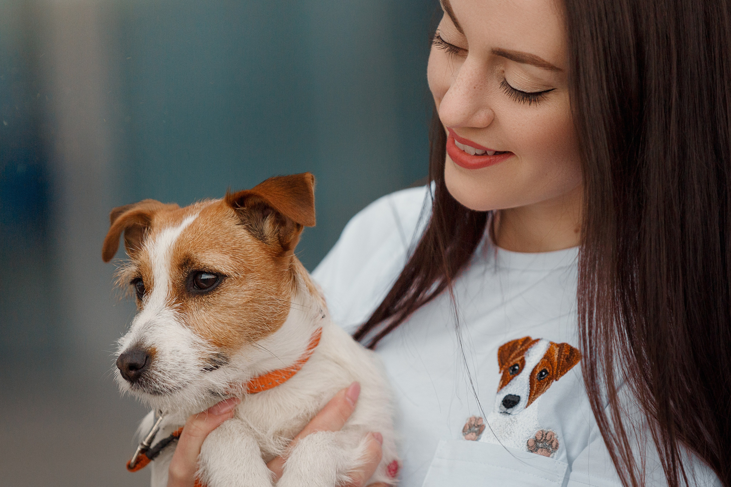 Фотосессии с вашими любимцами. Фотограф Артемьева Катерина|фотосессии с лошадьми