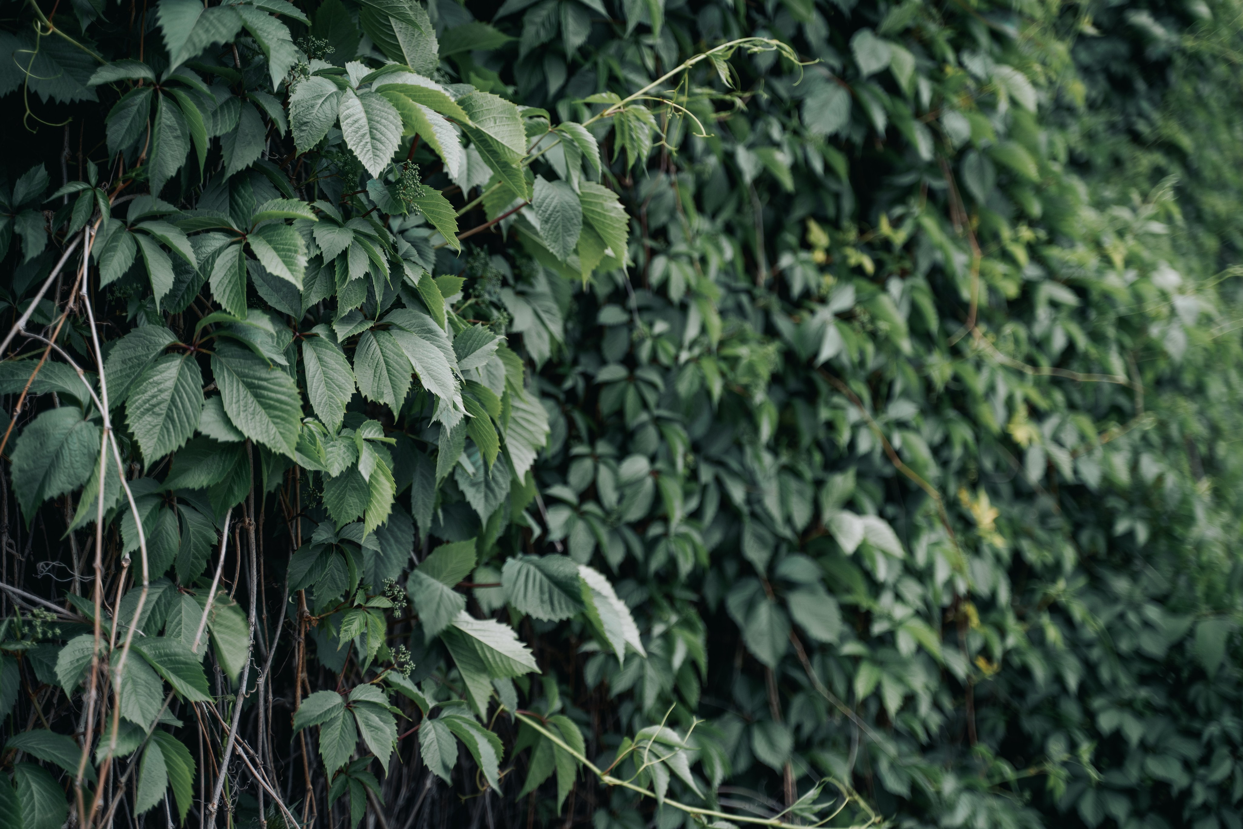 Места для съёмок. Фотограф Александр Решня