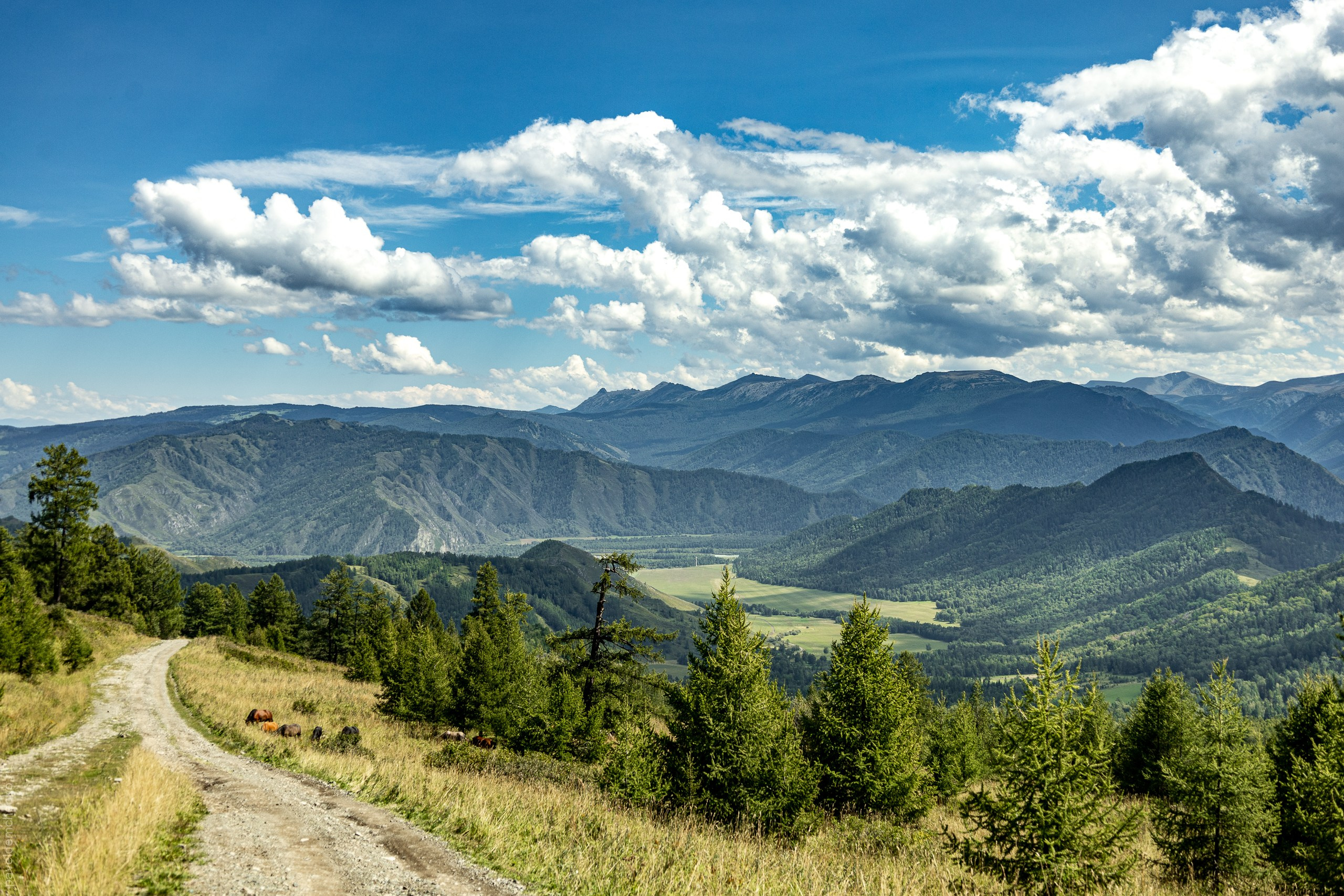 Красная гора 2024. Gennady Travel