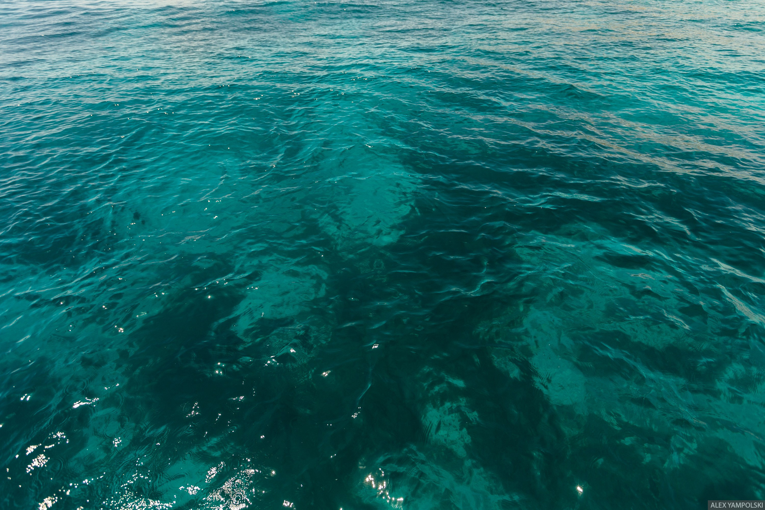 Обо мне | Услуги. Фотограф Александр Ямпольский