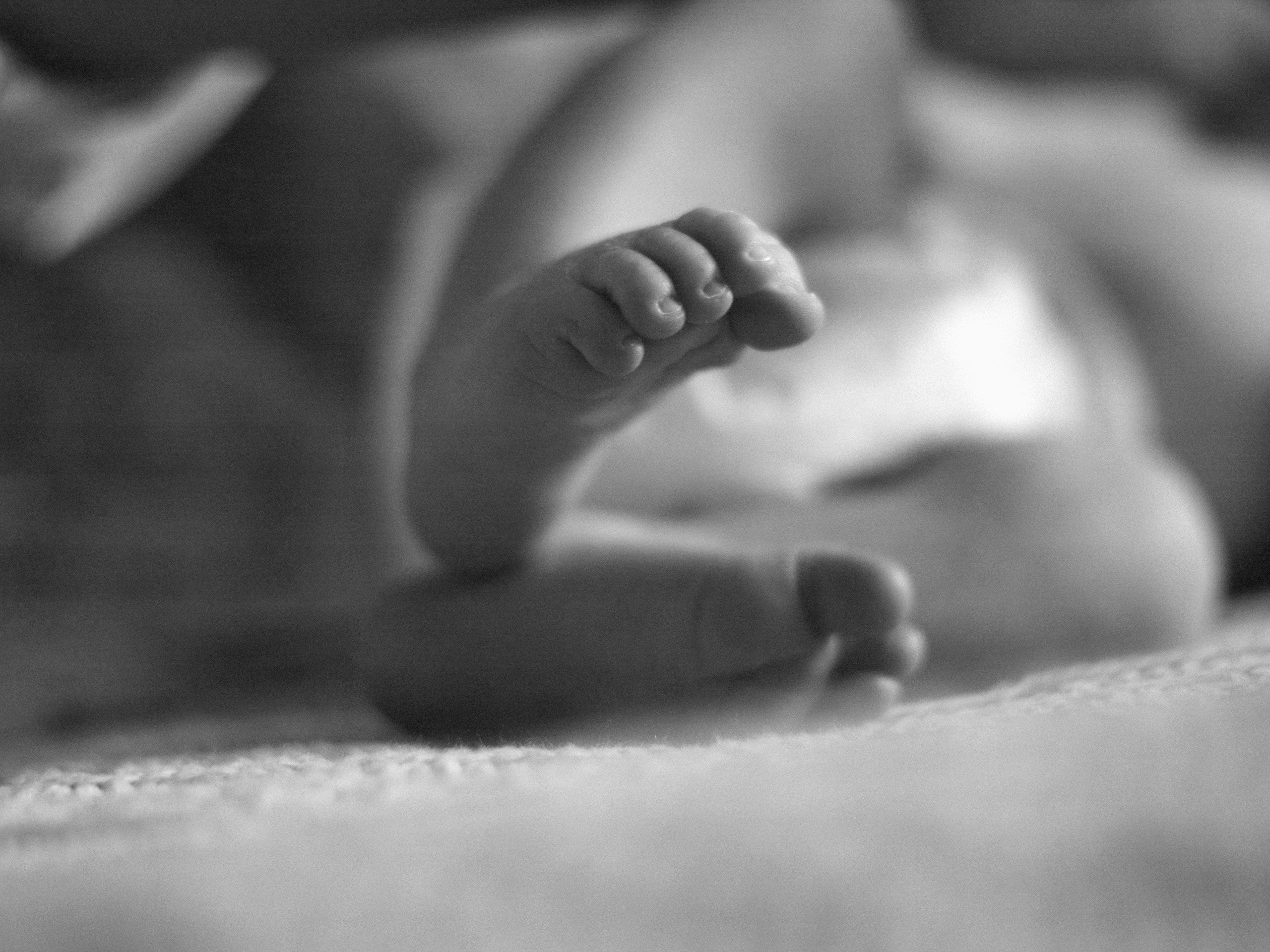 Мироша. SHILOVA PHOTO. Шилова Екатерина. Фотограф. Москва