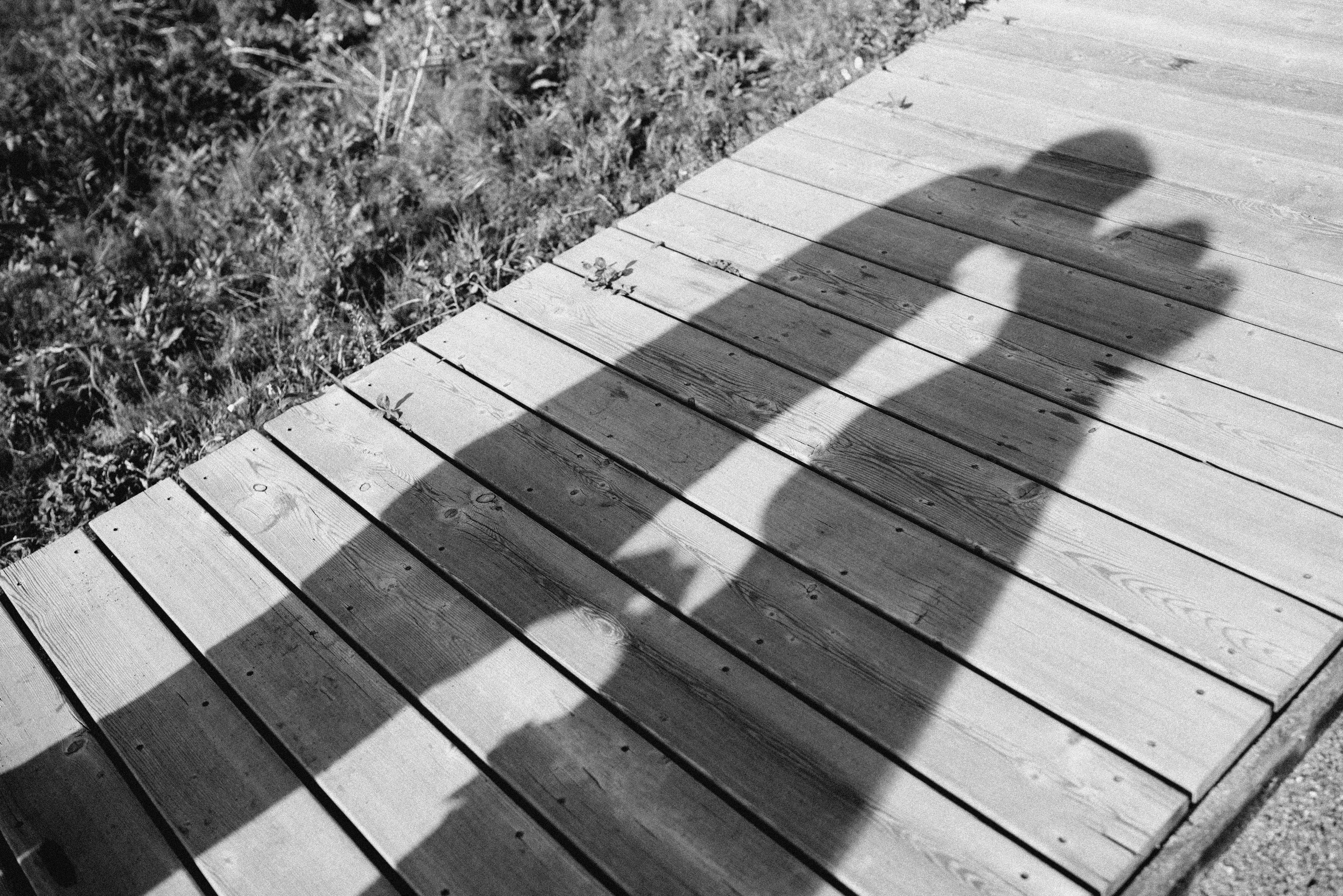 Wedding. Фотограф Шарыпово