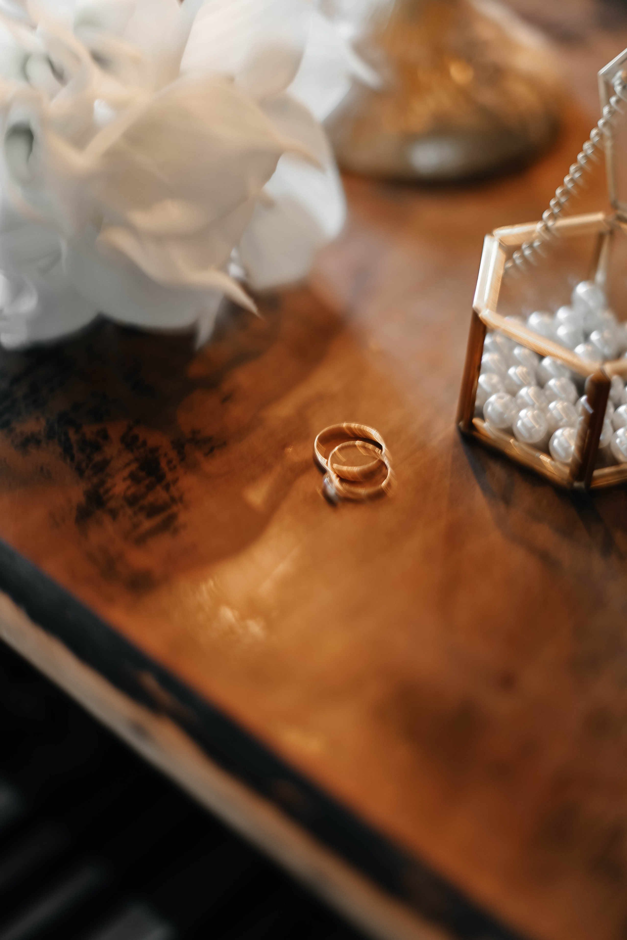 Ярослав | Александра. Фотограф Таня Королёк