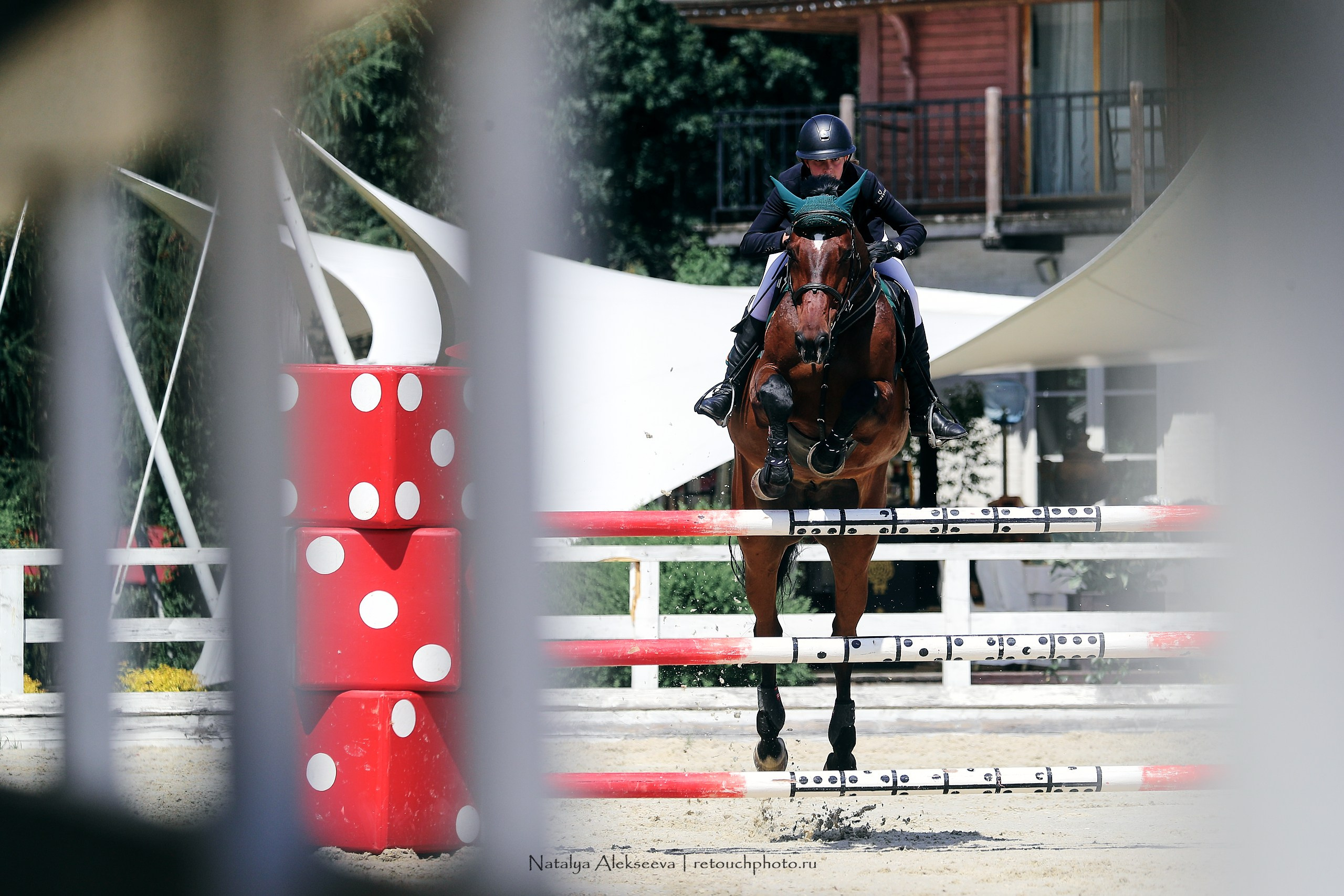 Открытый Кубок КСК Отрада по конкуру | 06'2023