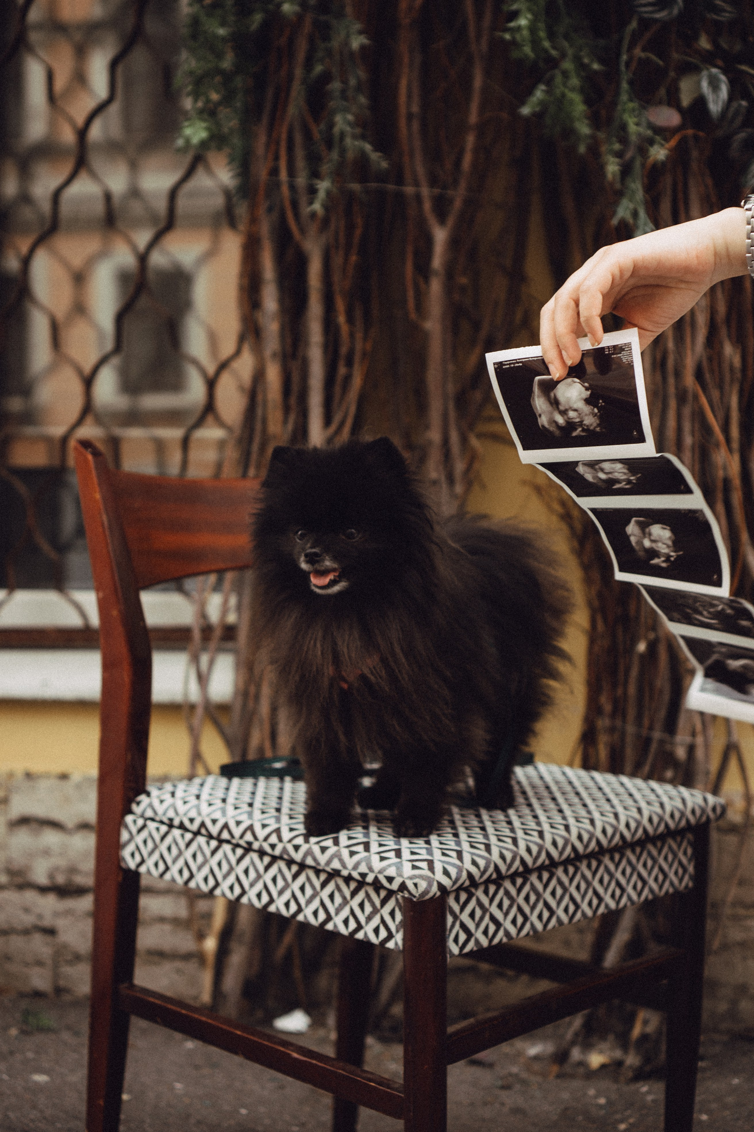 Беременность (только часть фото по желанию клиентов могу показать)). Профессиональный фотограф, Санкт-Петербург — Виктория Богомолова