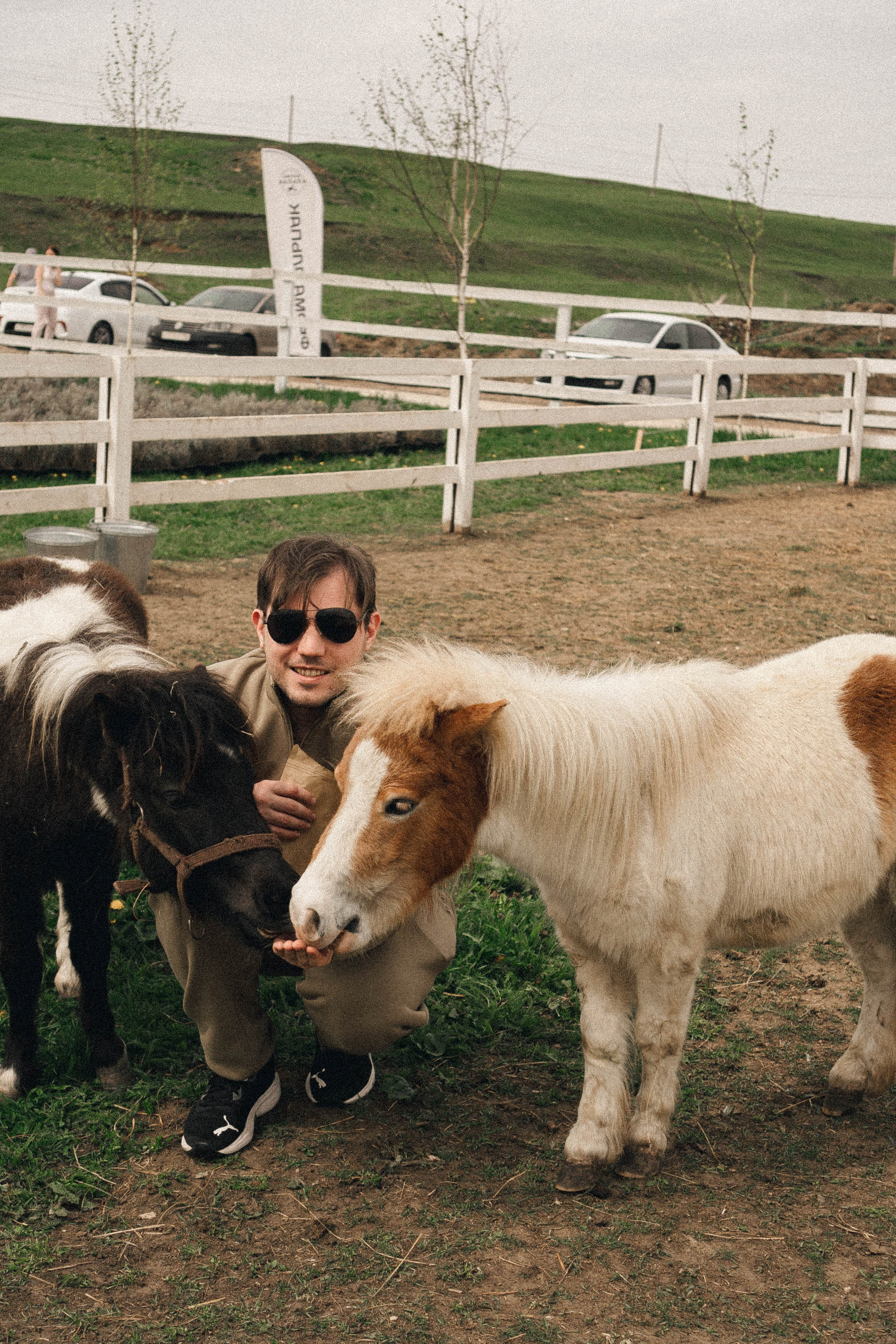 Ферма Альпак. Профессиональный фотограф, Санкт-Петербург — Виктория Богомолова