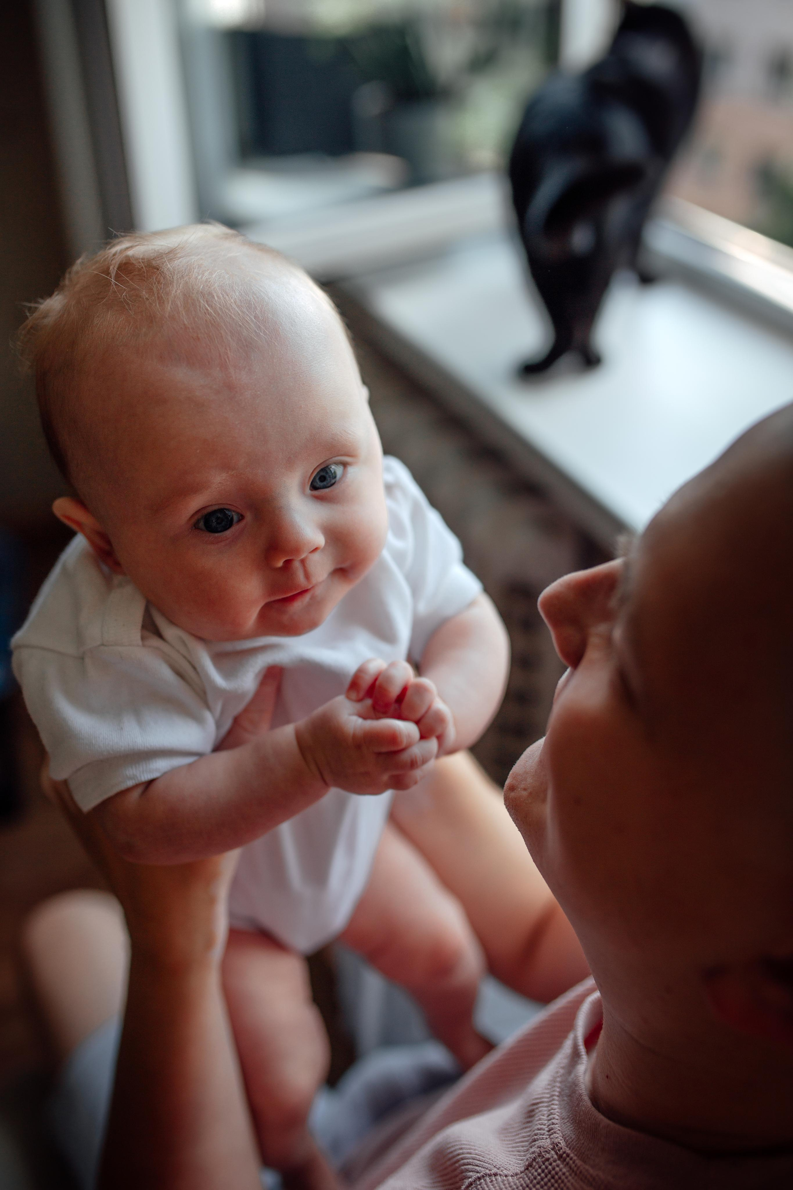 Домашняя, малышка Афина, июль 21