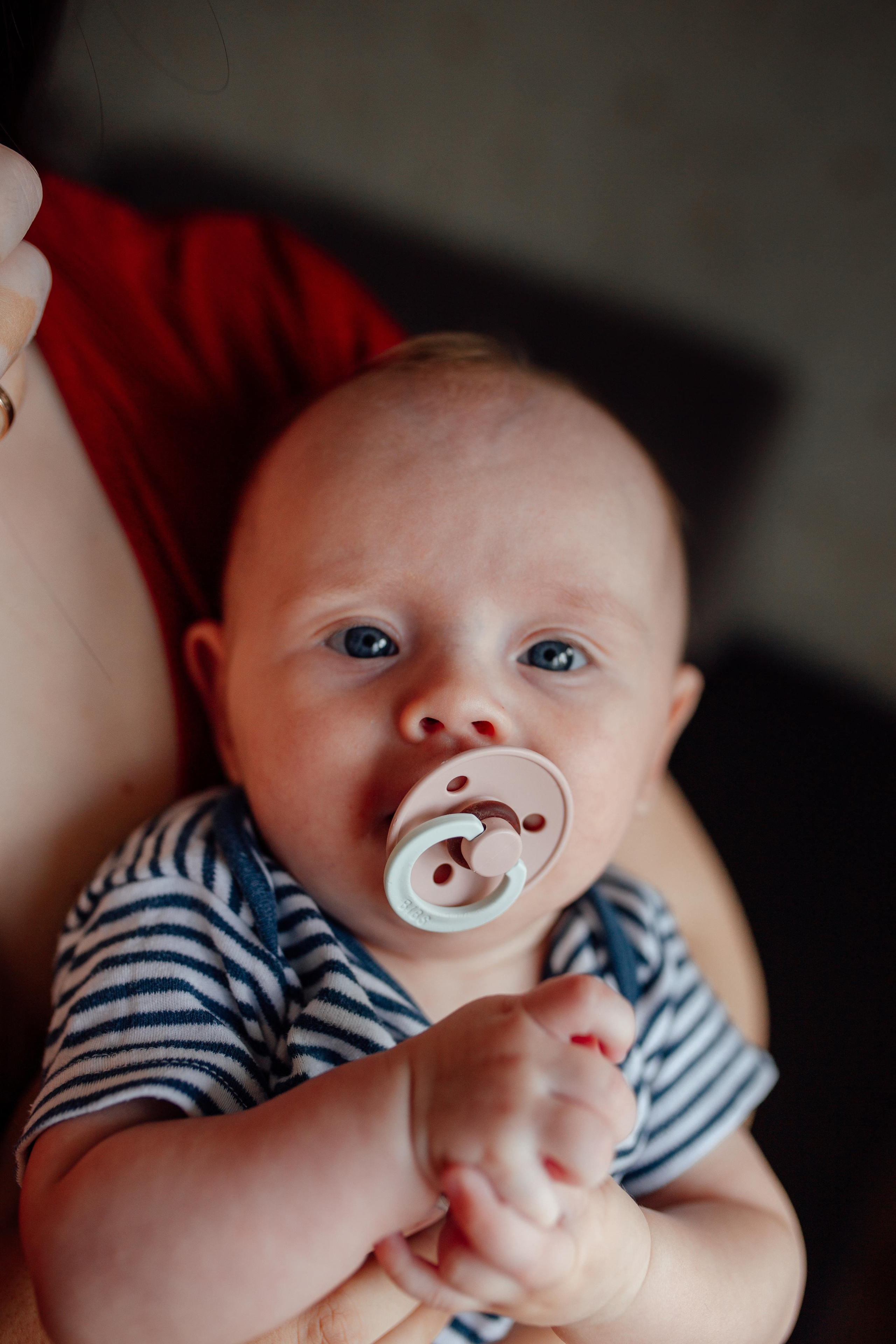 Домашняя, малышка Афина, июль 21