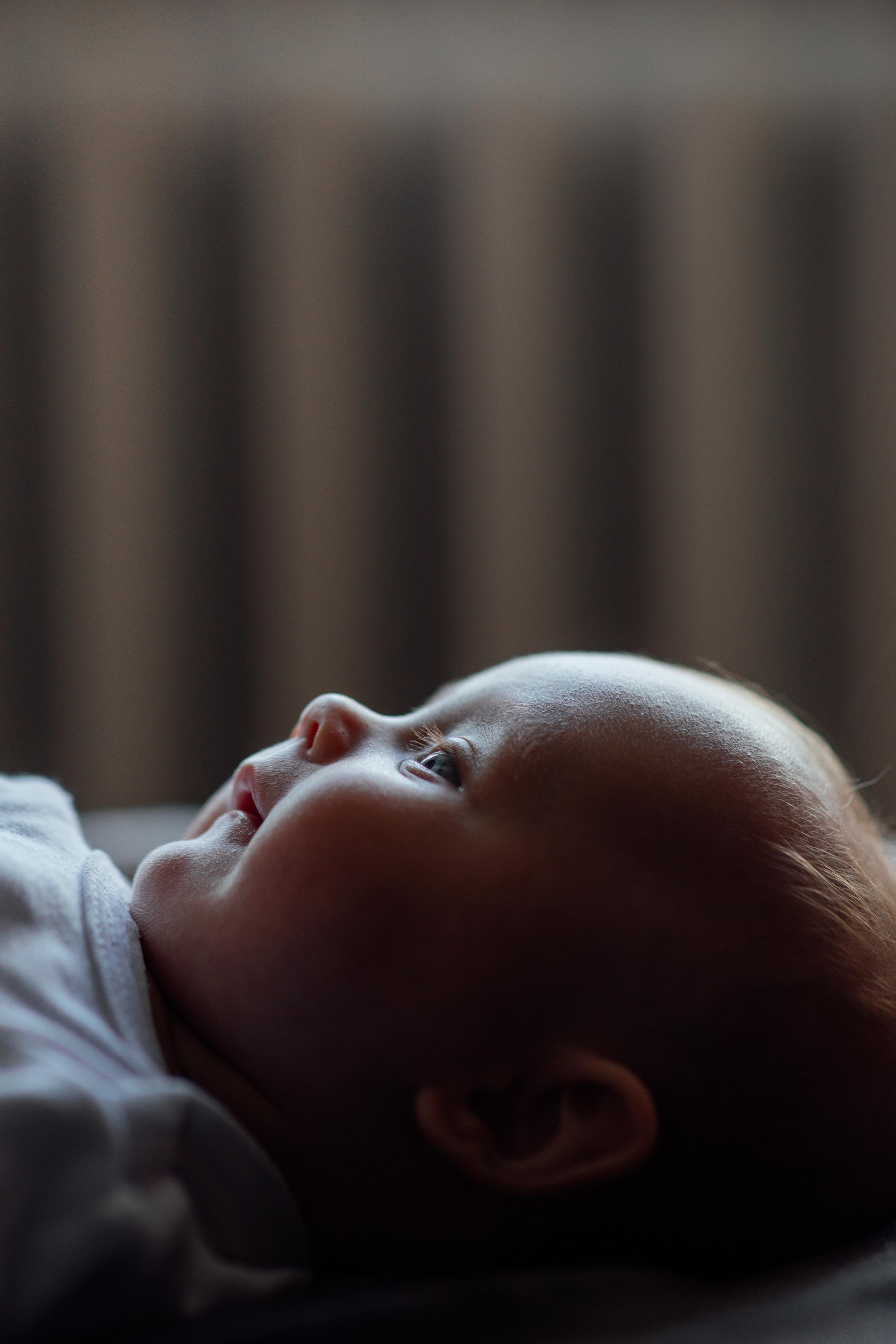 Домашняя, малышка Афина, июль 21