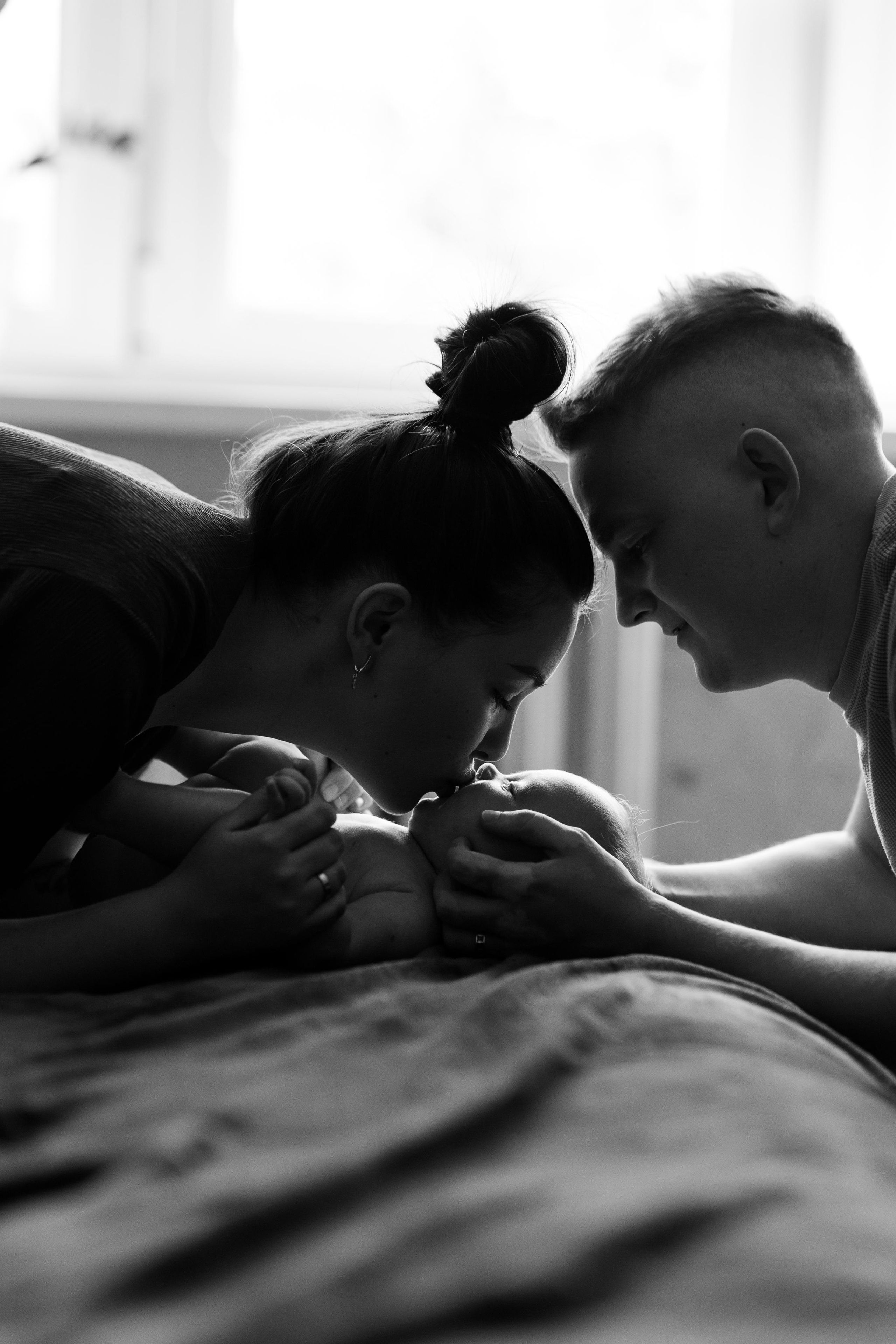 Домашняя, малышка Афина, июль 21