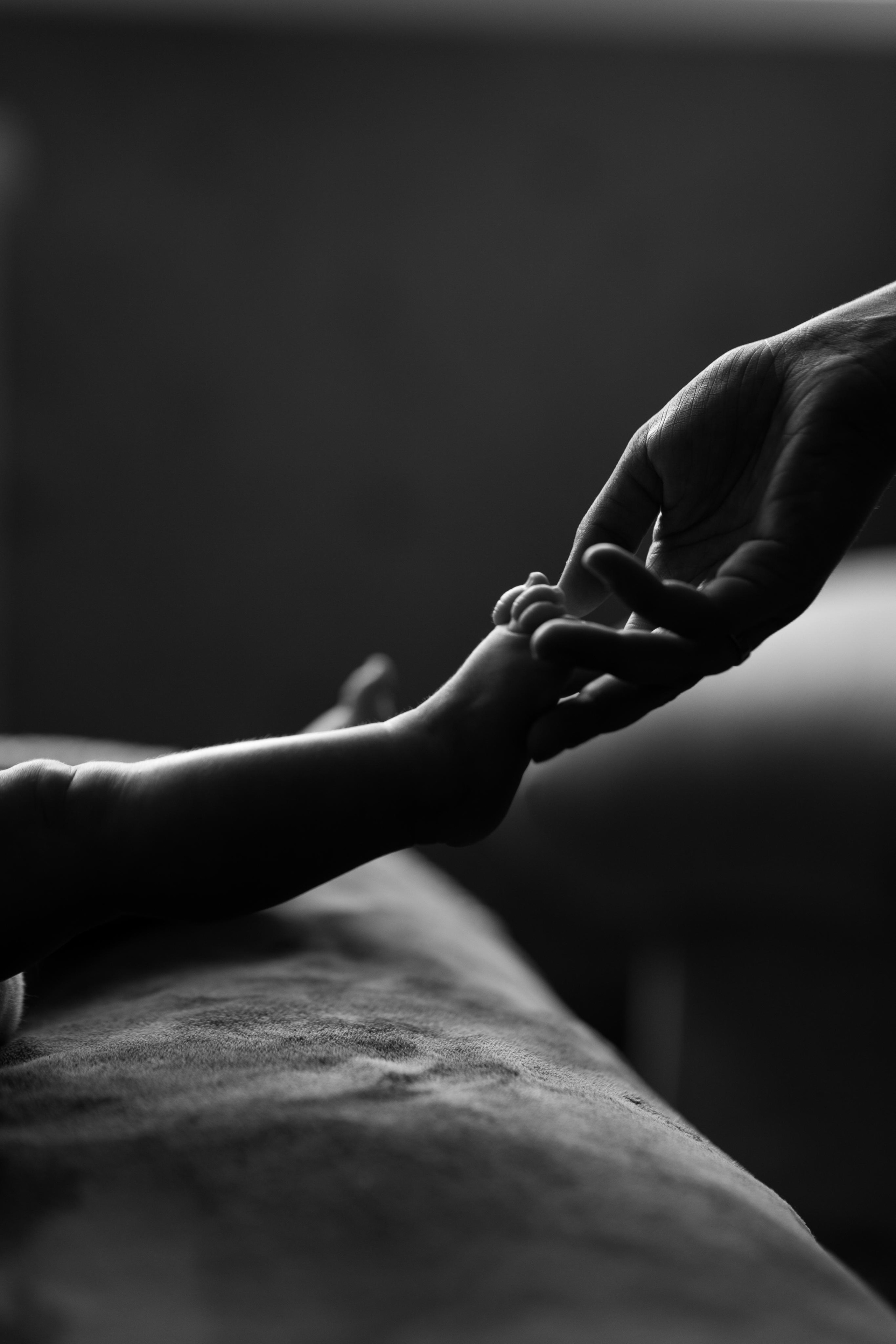 Домашняя, малышка Афина, июль 21