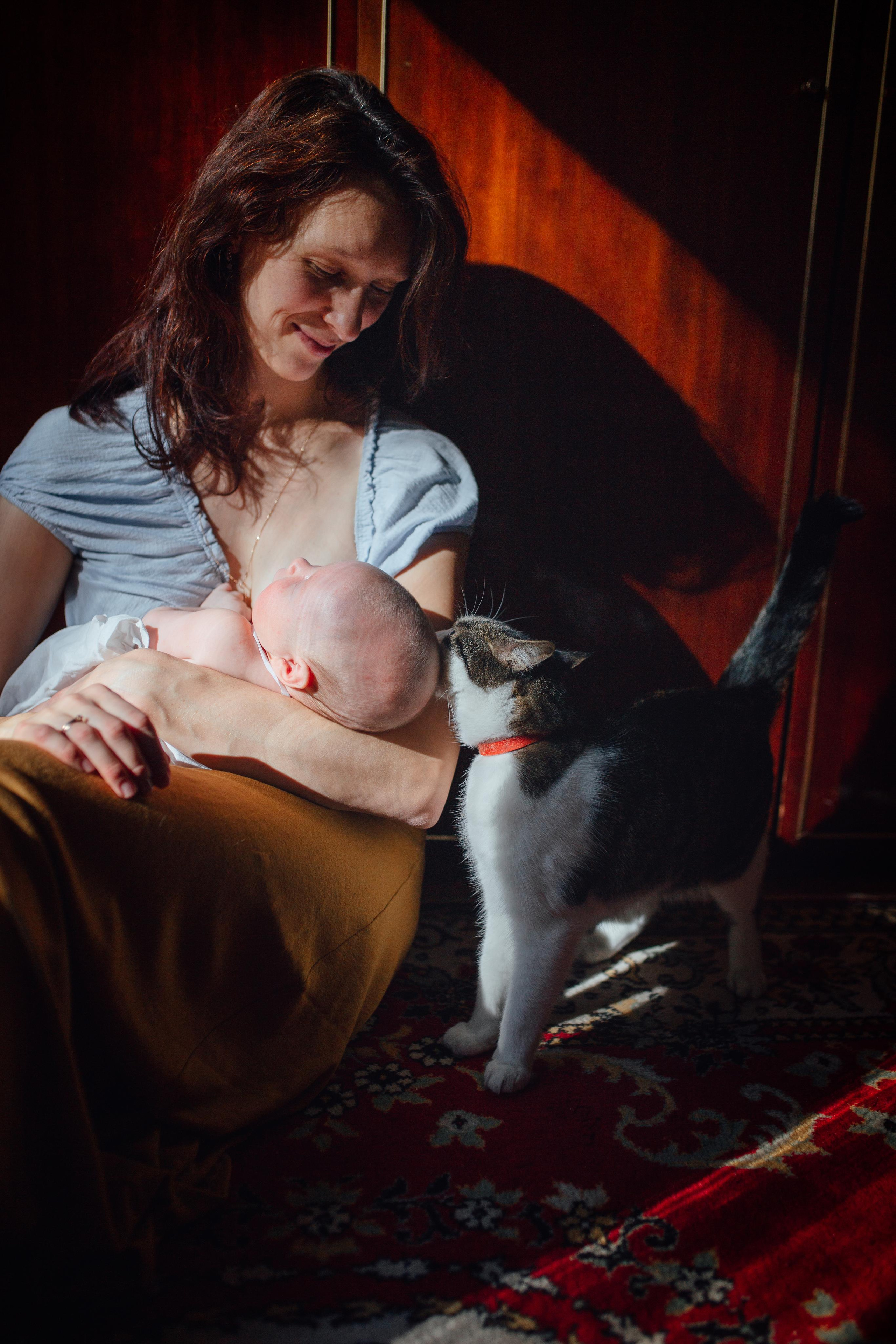 Домашняя, осенняя, 21