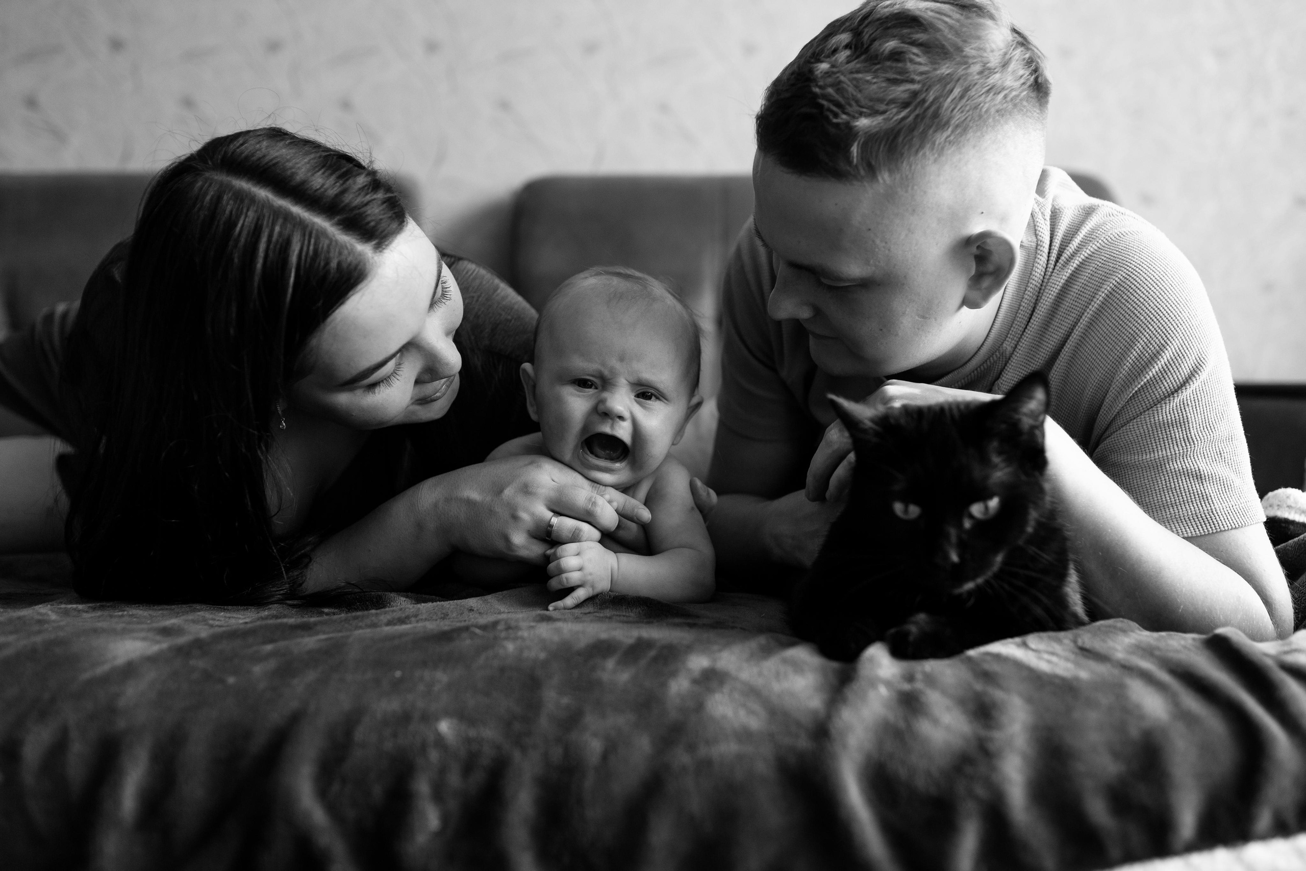 Домашняя, малышка Афина, июль 21