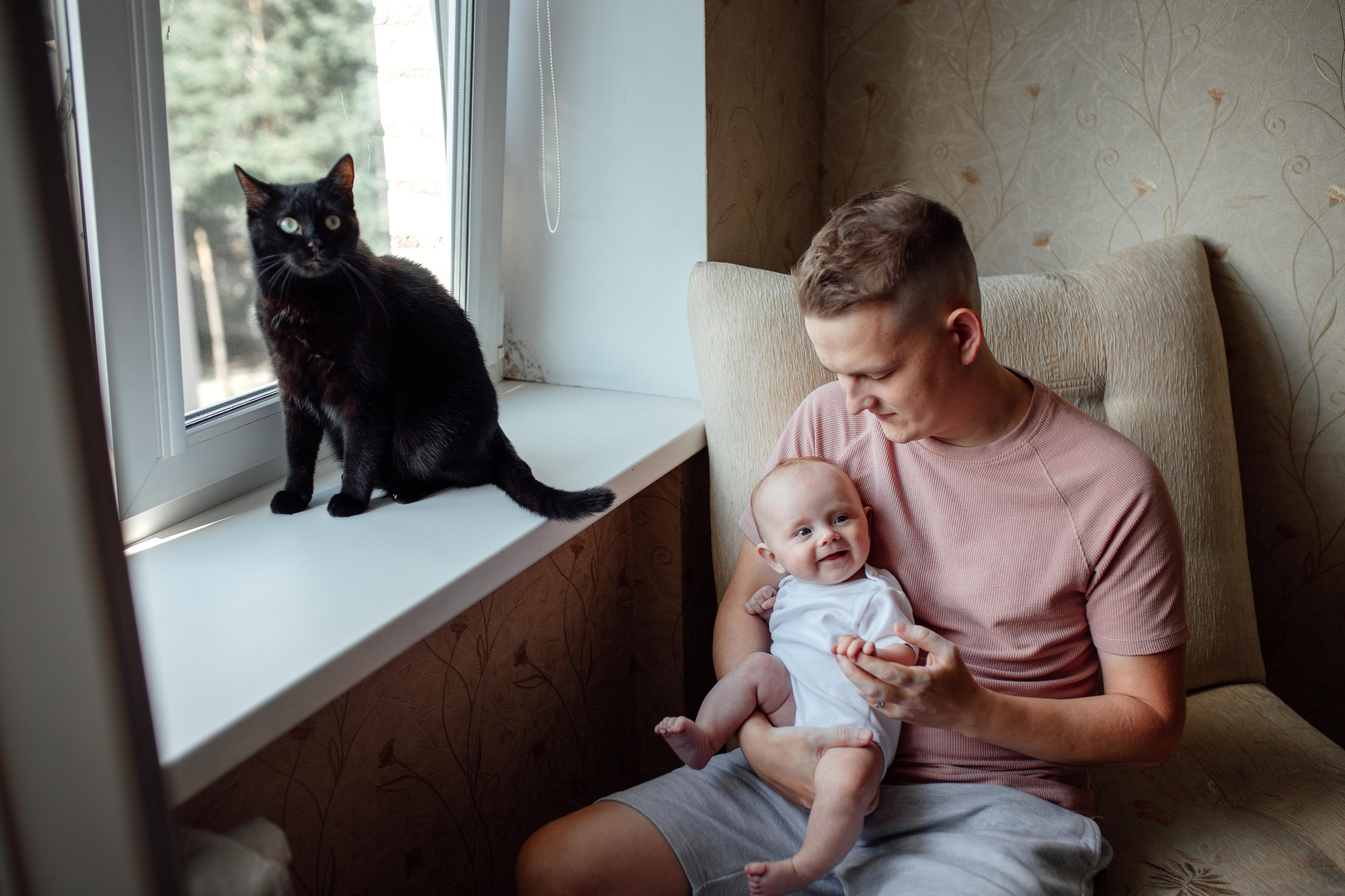 Домашняя, малышка Афина, июль 21