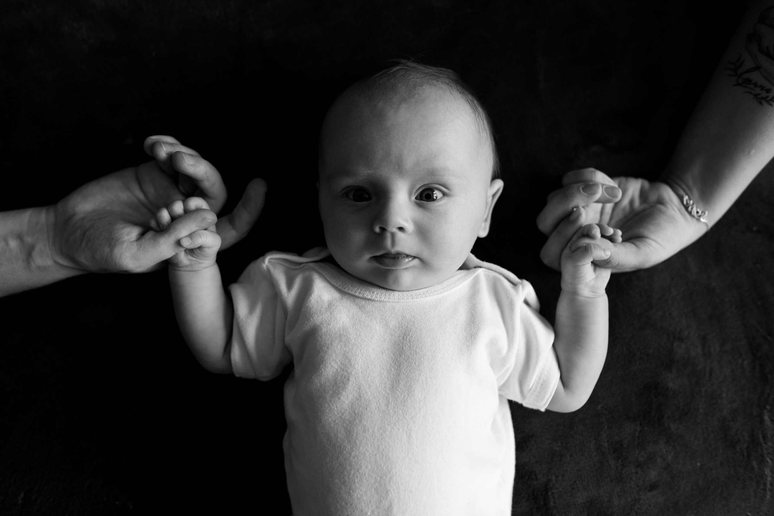 Домашняя, малышка Афина, июль 21