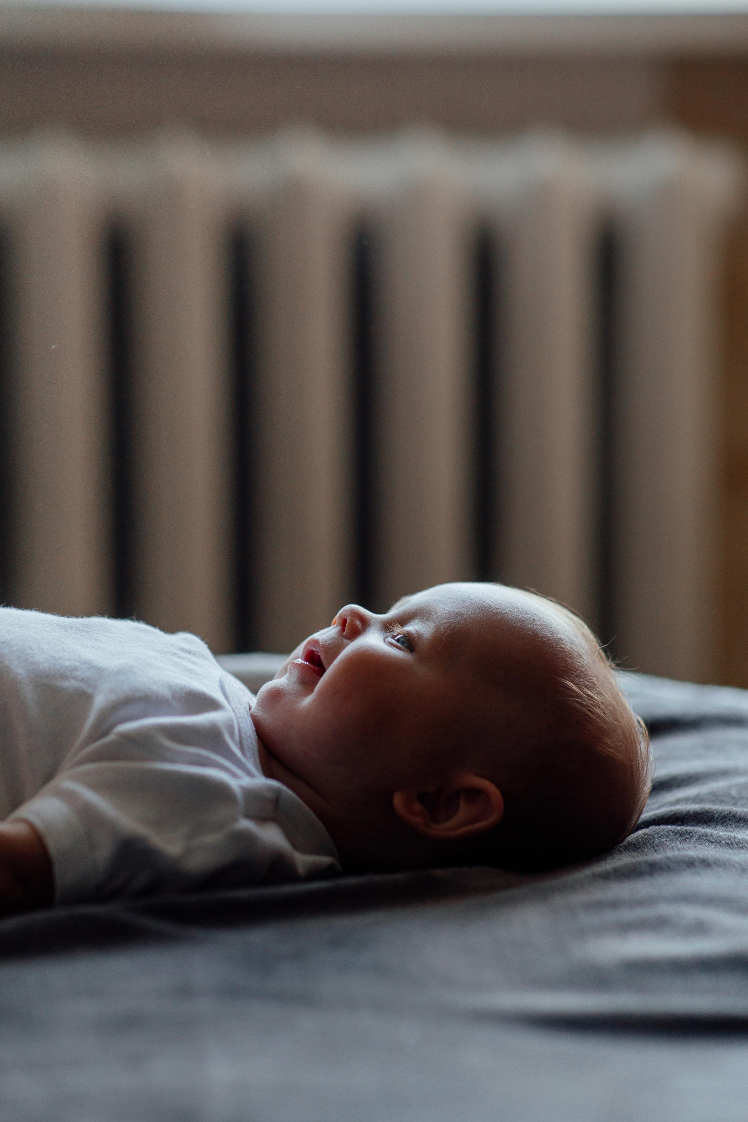 Домашняя, малышка Афина, июль 21