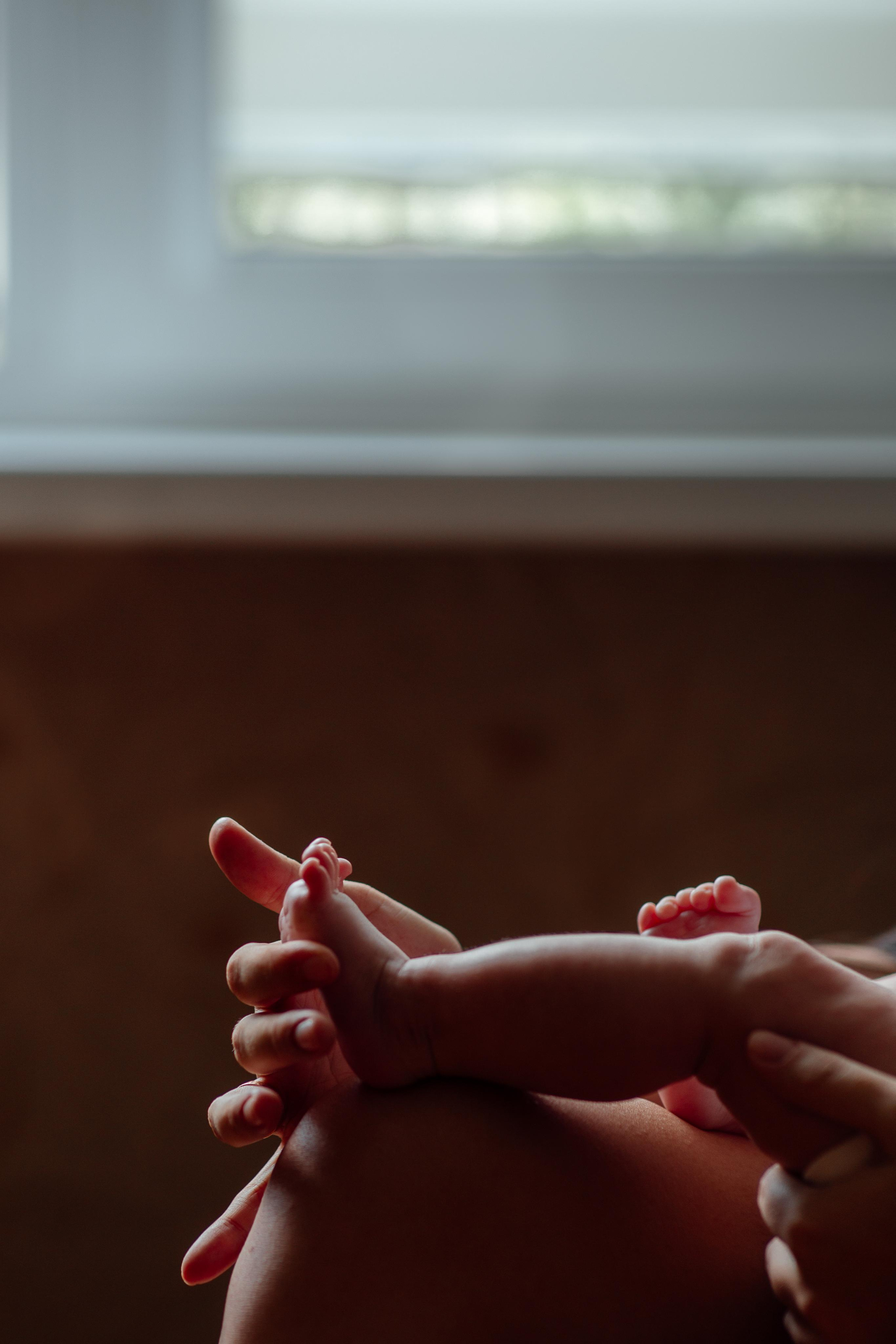 Домашняя, малышка Афина, июль 21