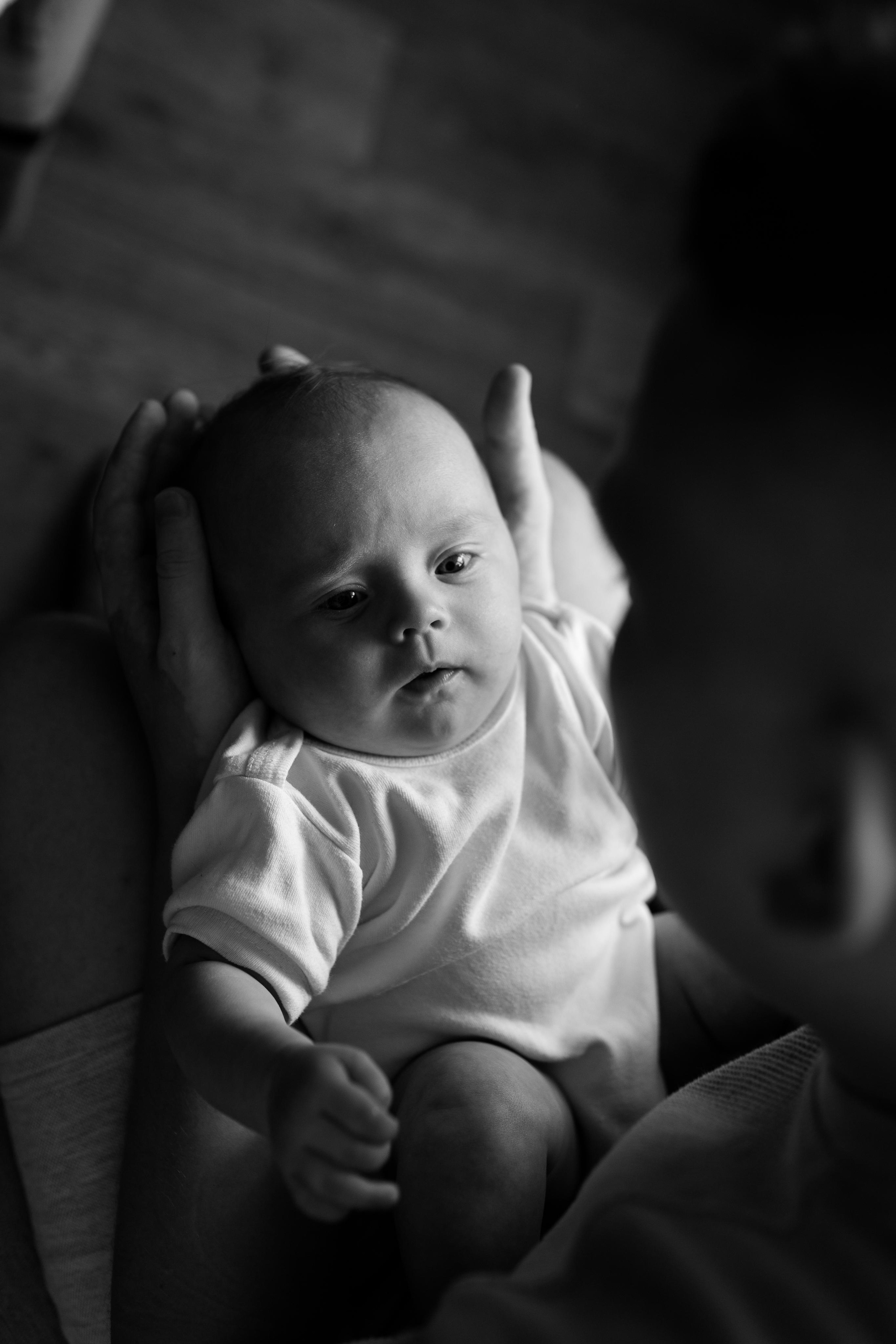 Домашняя, малышка Афина, июль 21