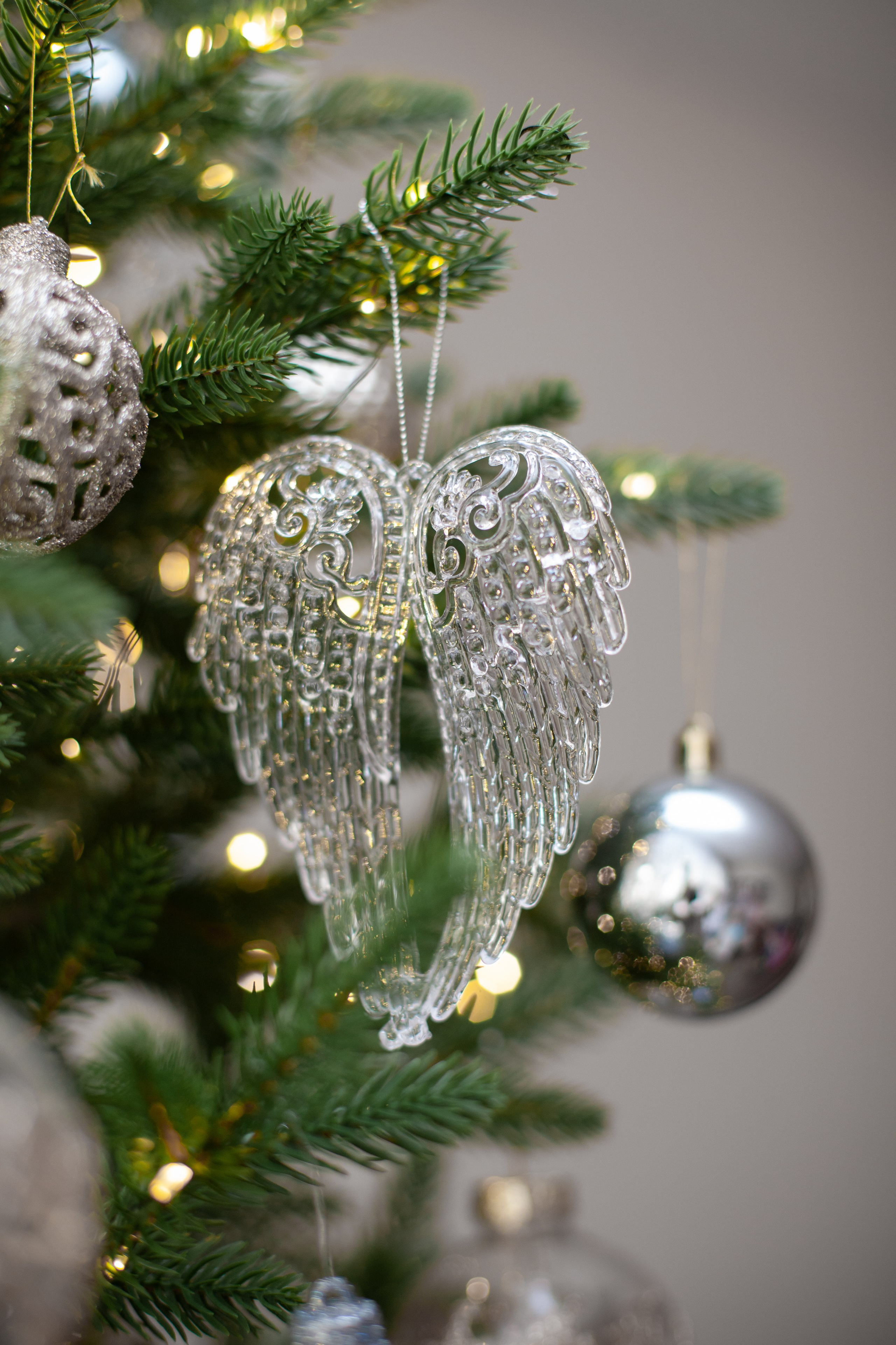 Домашняя. Фотограф в Томске Евгения Гуляева