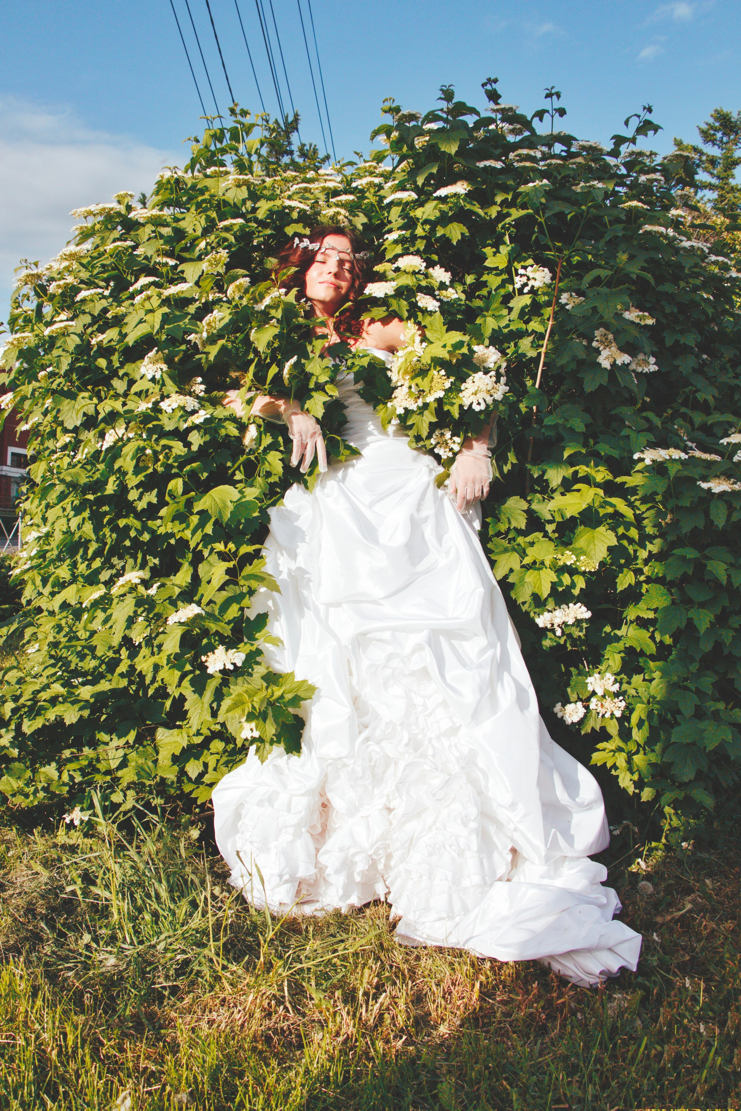 Сбежавшая Невеста Варвара…. Творческая, семейная Фотосъемка ДоброДарова Елена Омск