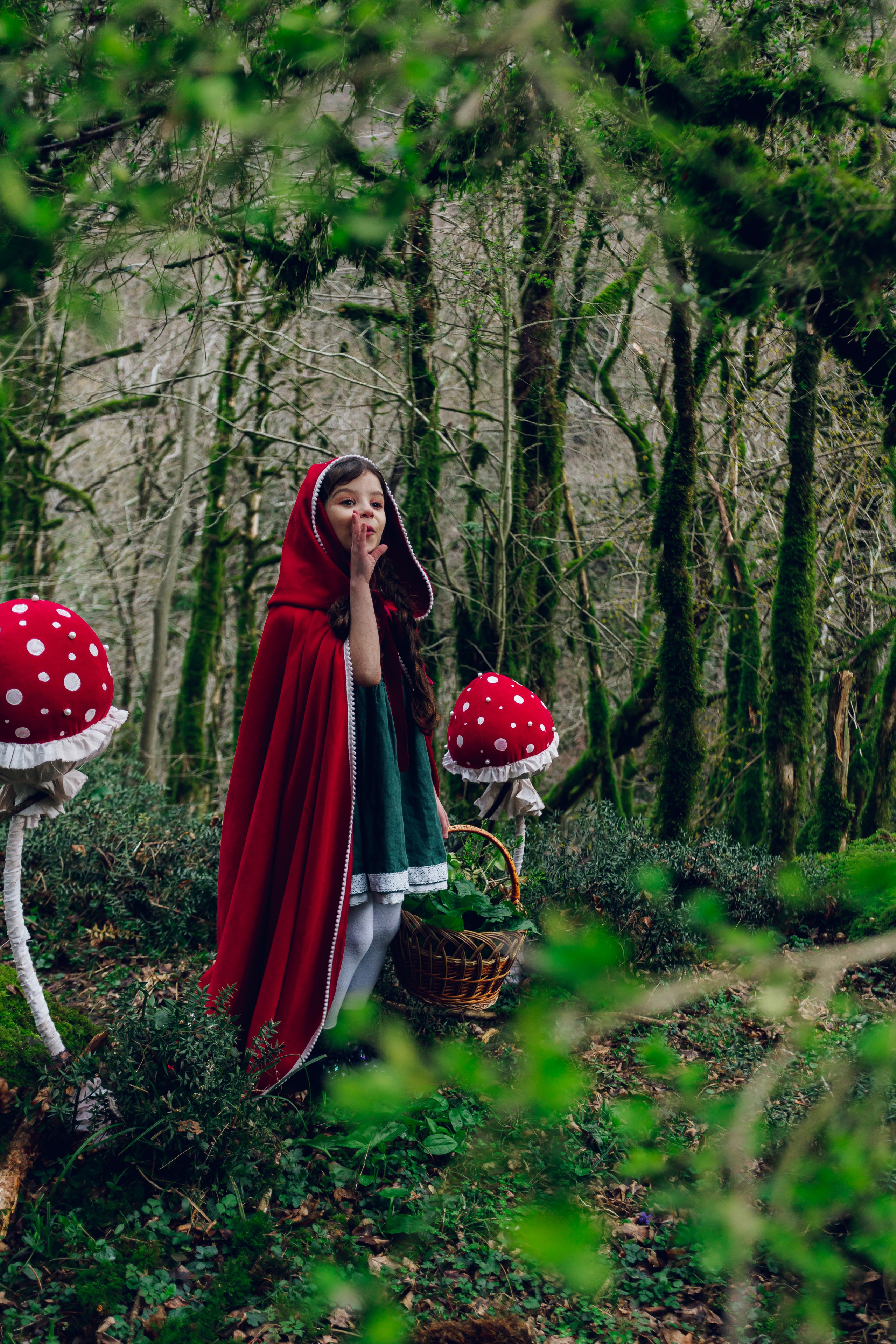 Самшитовая роща. Семейный и художественный фотограф в Тюмени Юлия Логинова