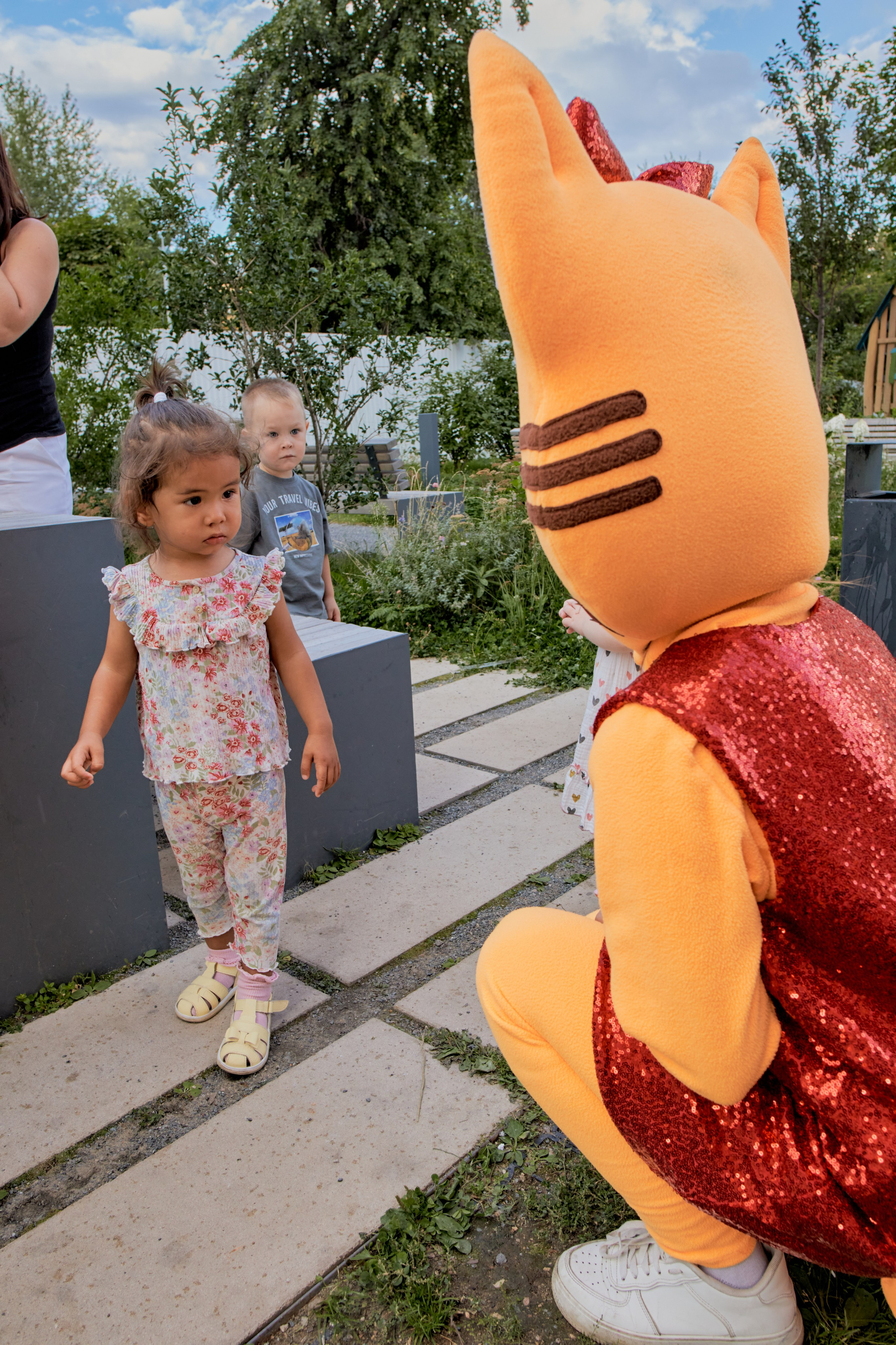 Три кота. Фотограф Москва